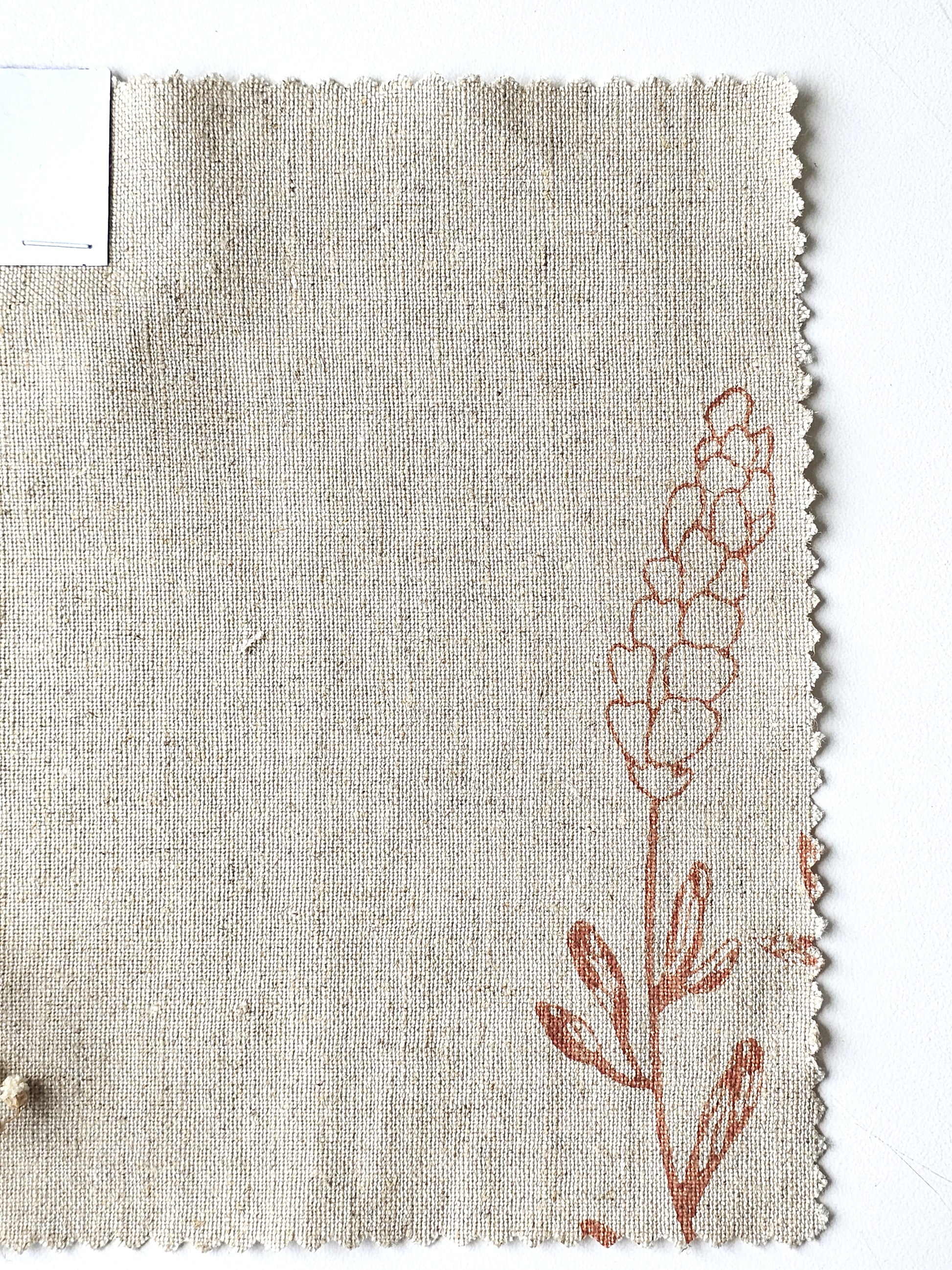Lavender, Terracotta