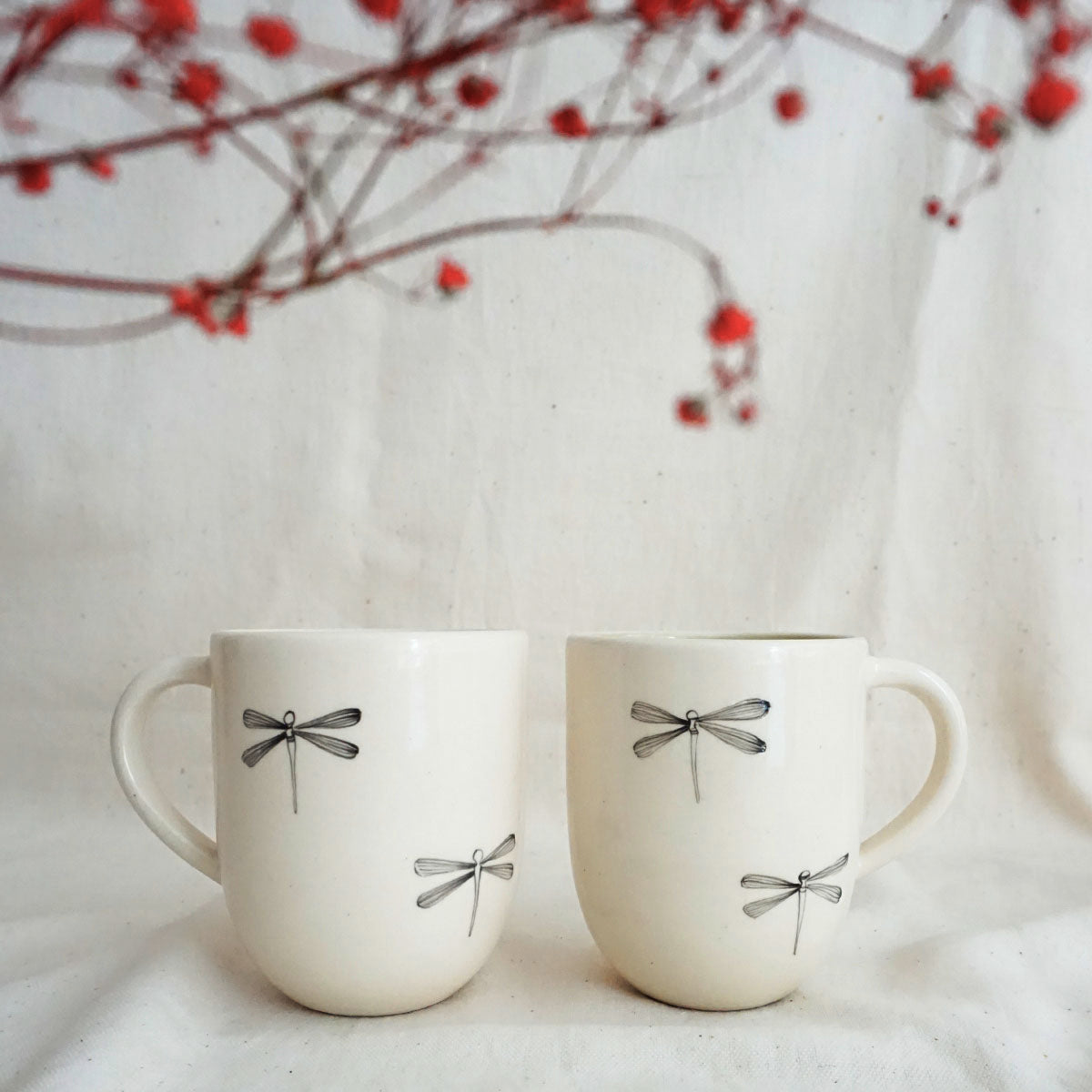 Dragonfly Giftset