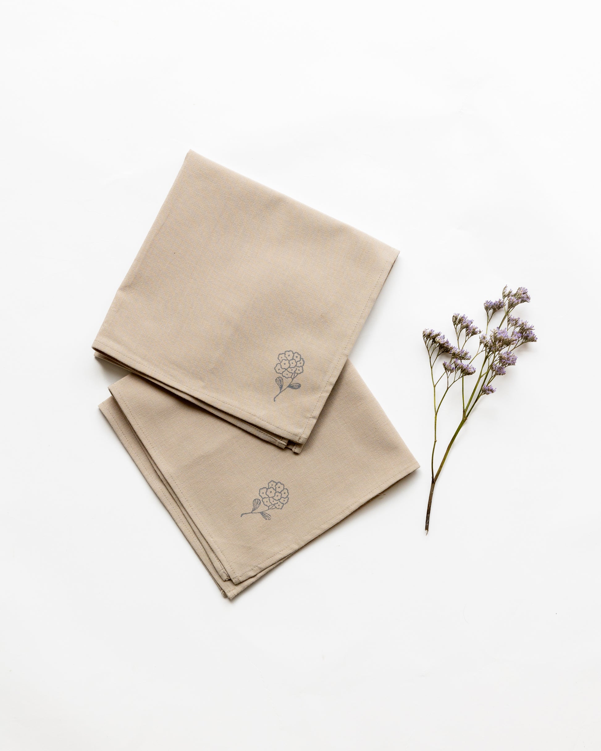 Tagar Napkins, Beige (Set of 2)