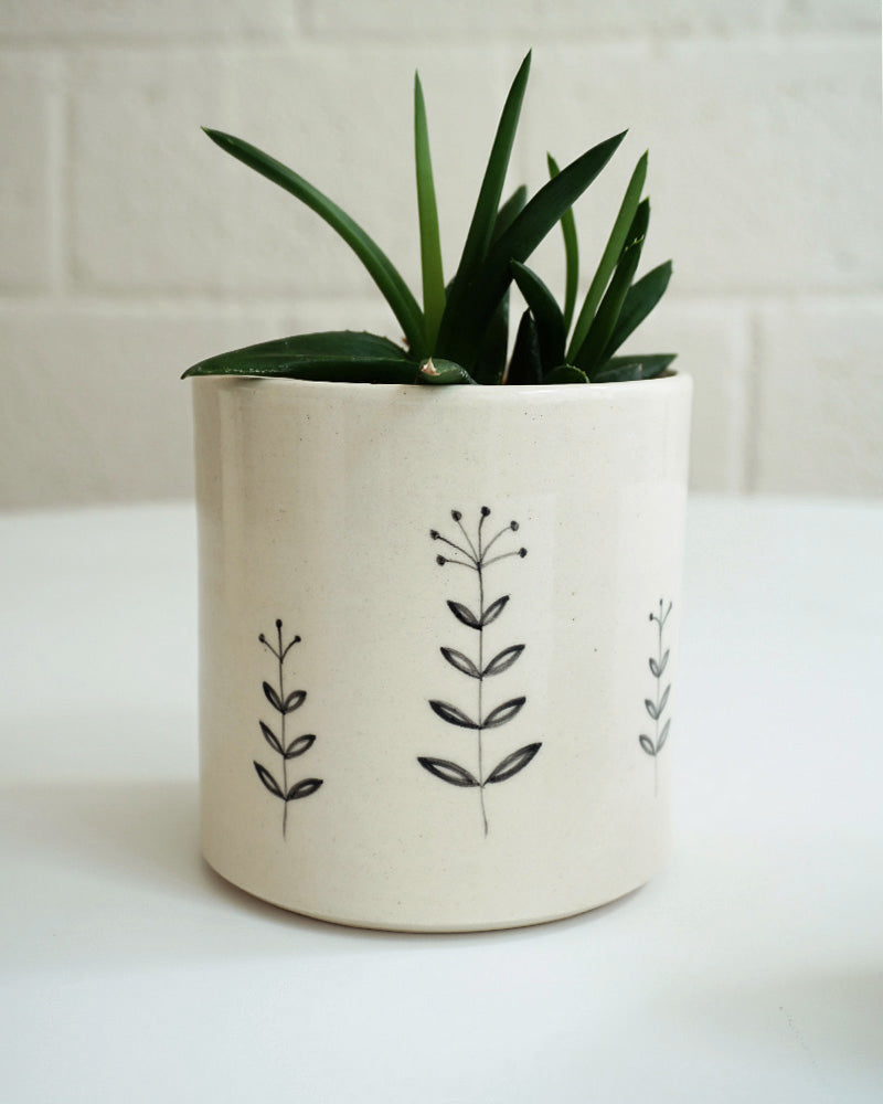Ivy Planter