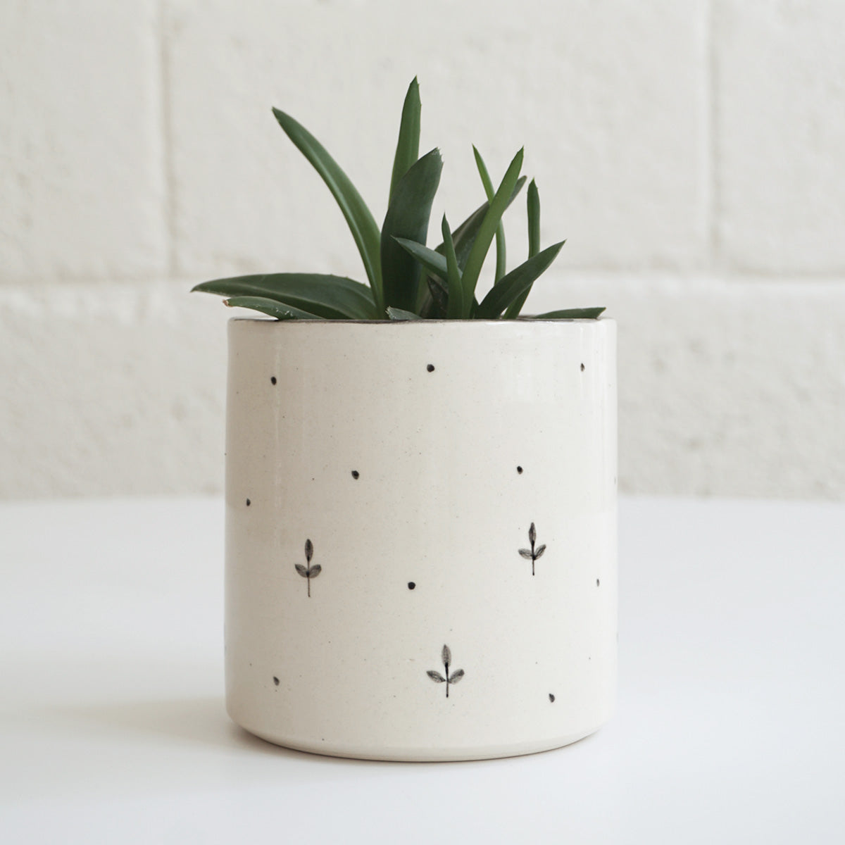 Mogra Planter
