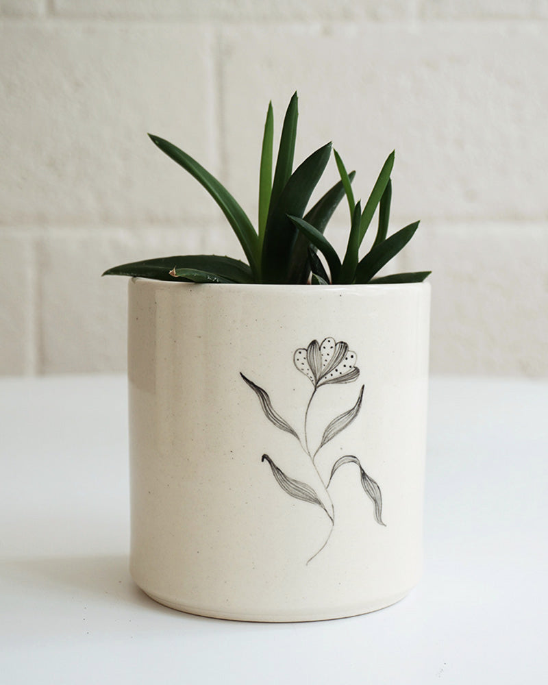 Magnolia Planter
