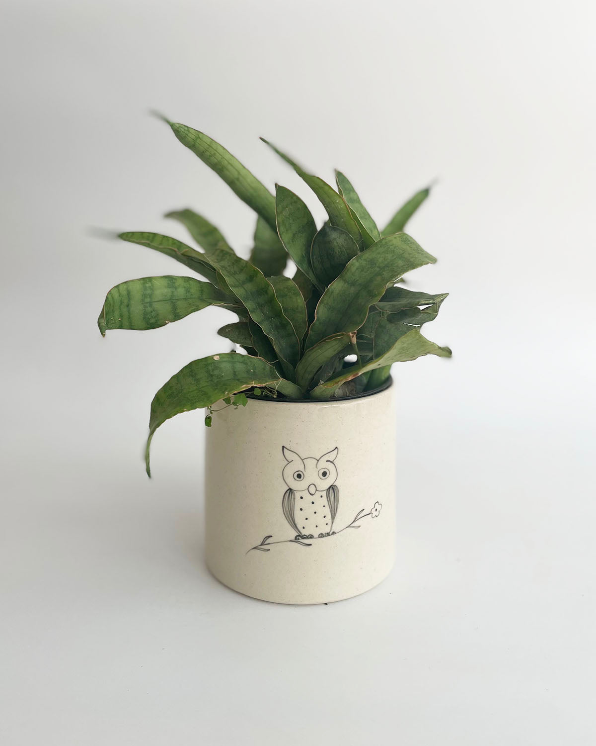 Owl Planter
