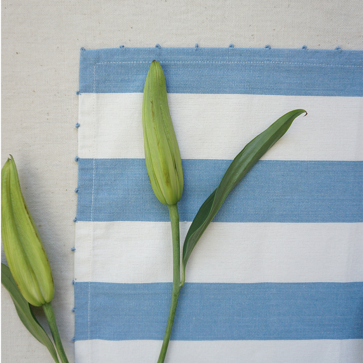 Blue Candy Stripe Tablemats (Set of 4)