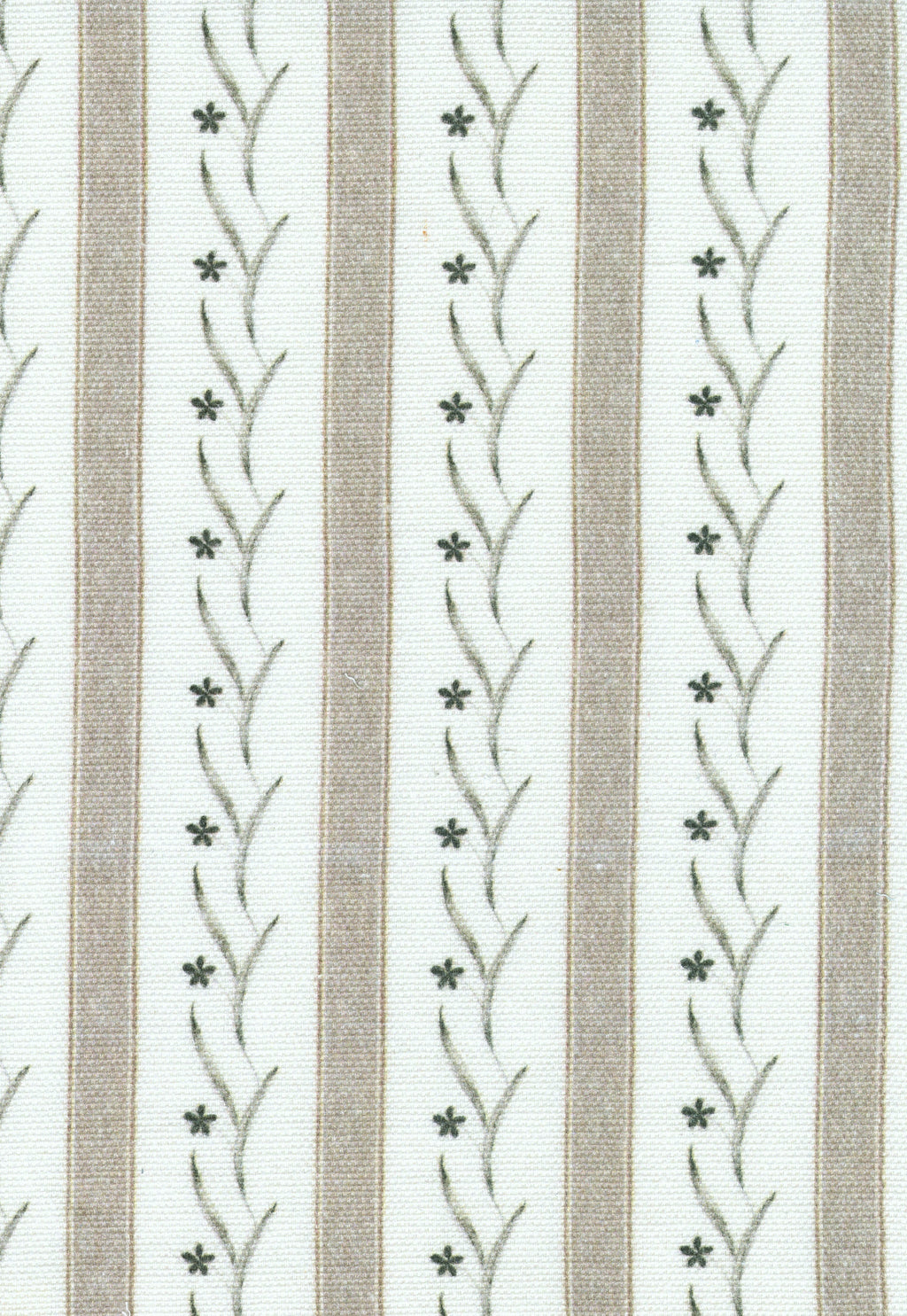 Bela Fabric, Brown