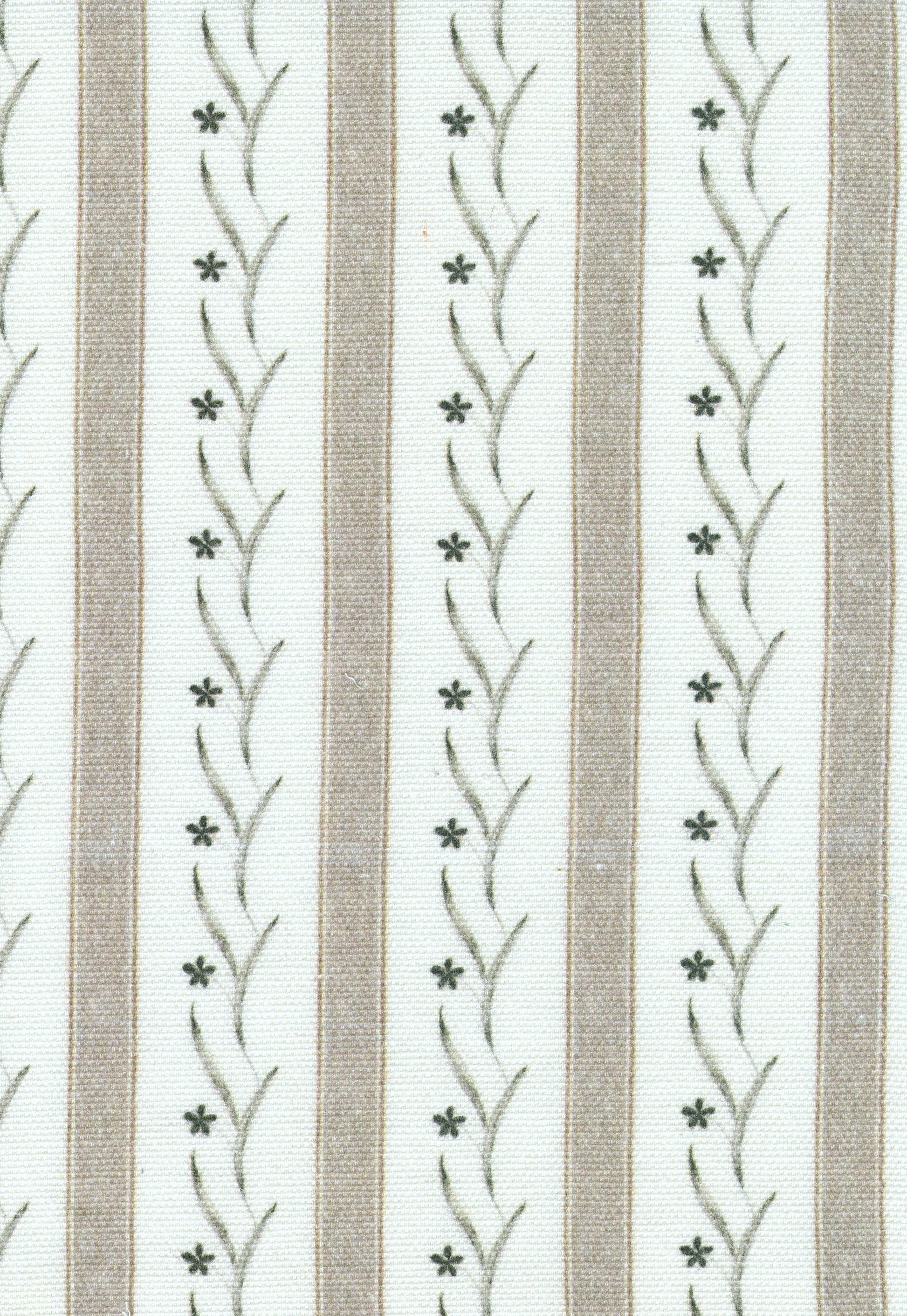 Bela Fabric, Brown