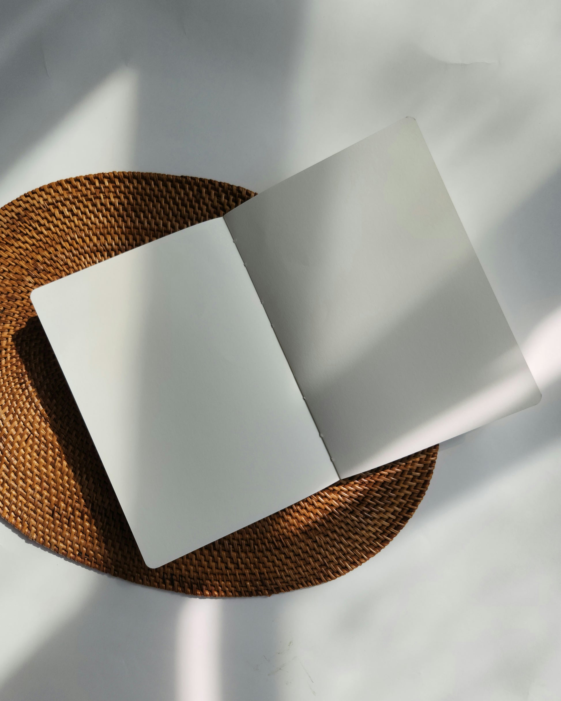 Gingko Notebook