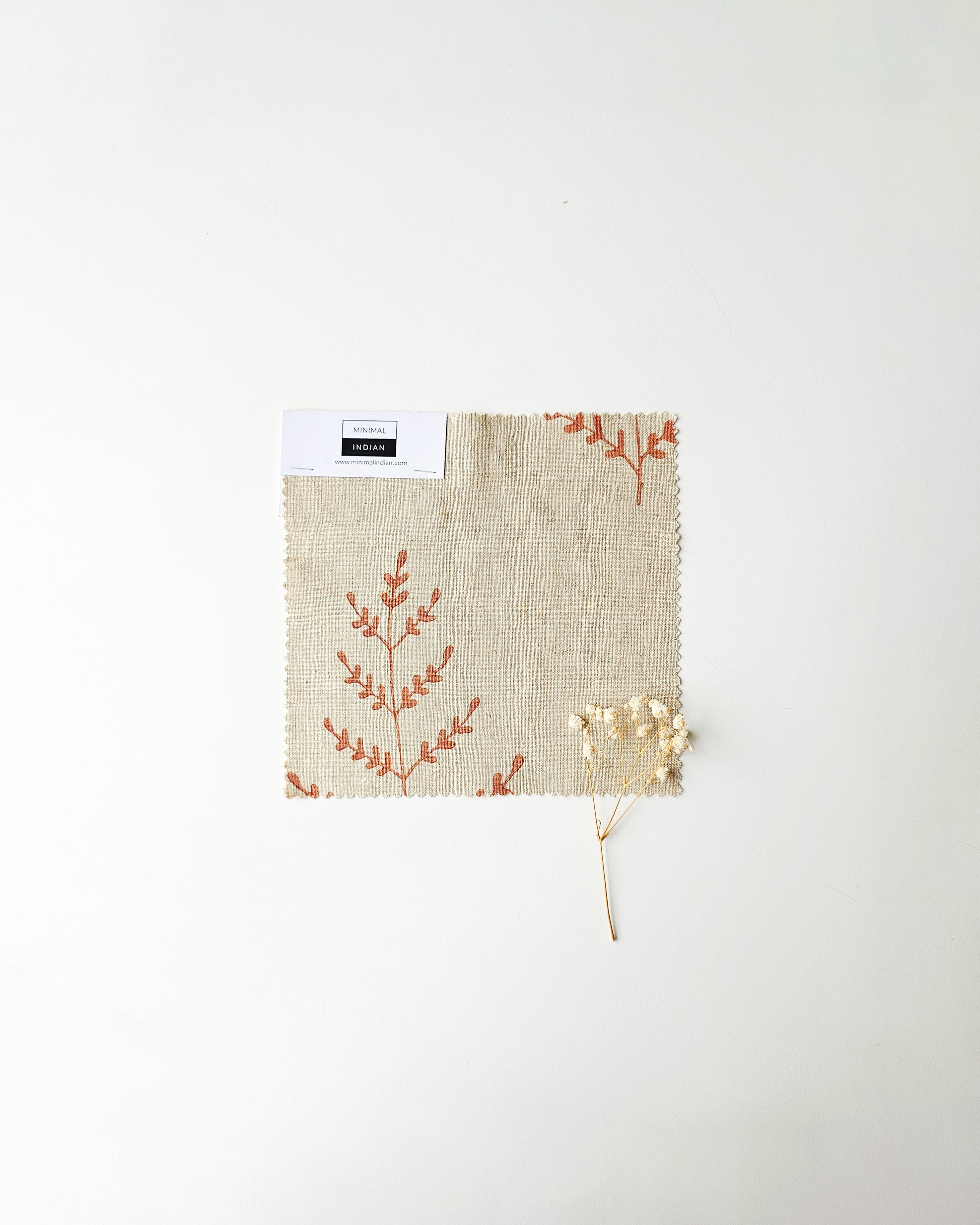 Fern, Terracotta