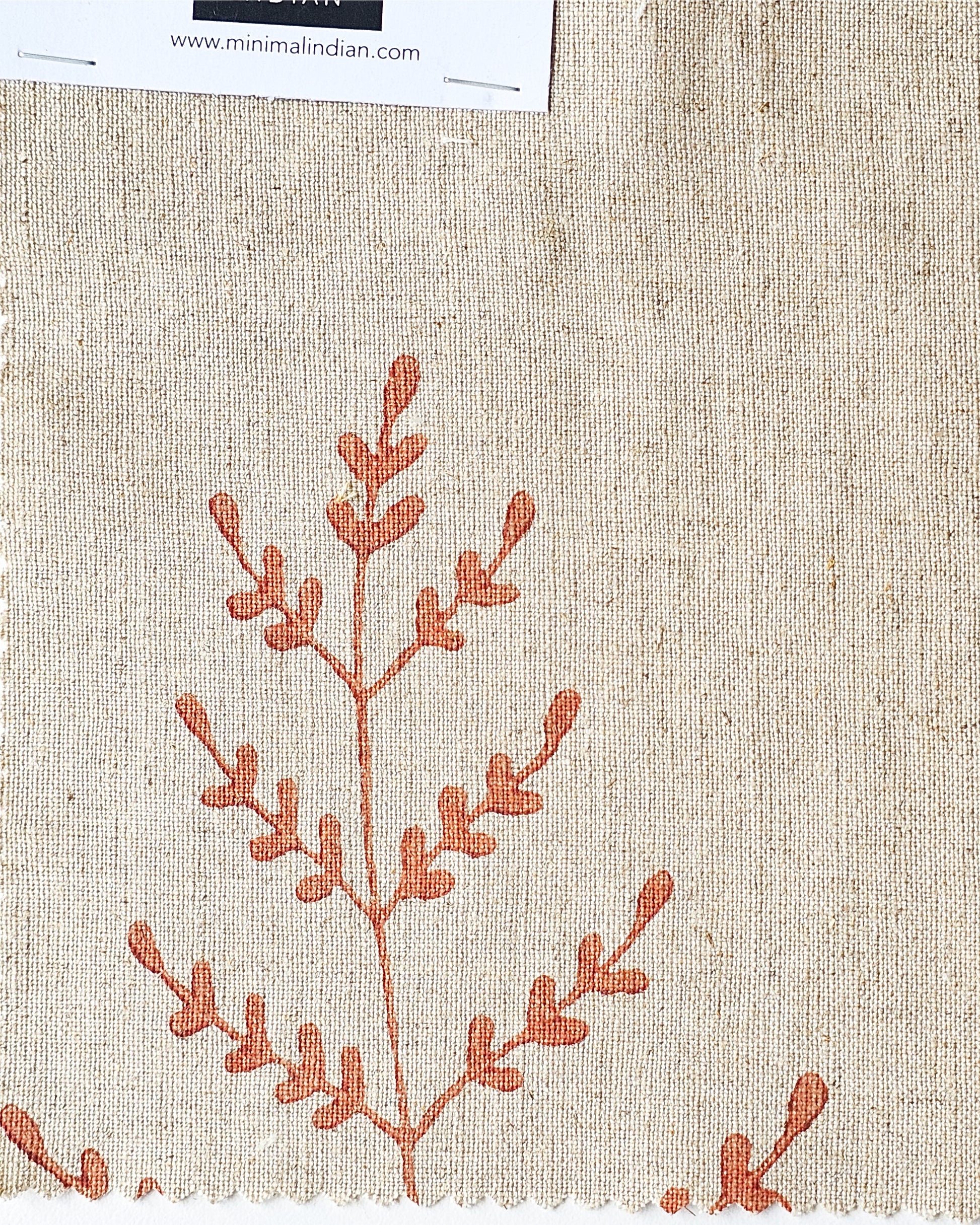 Fern, Terracotta
