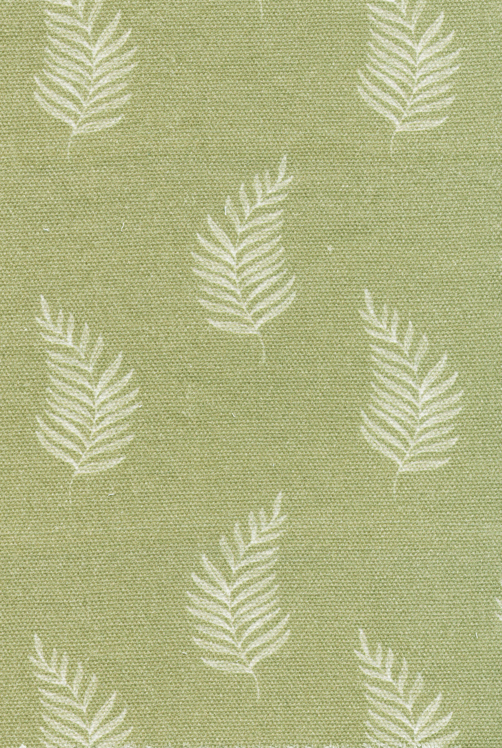 Monstera Fabric