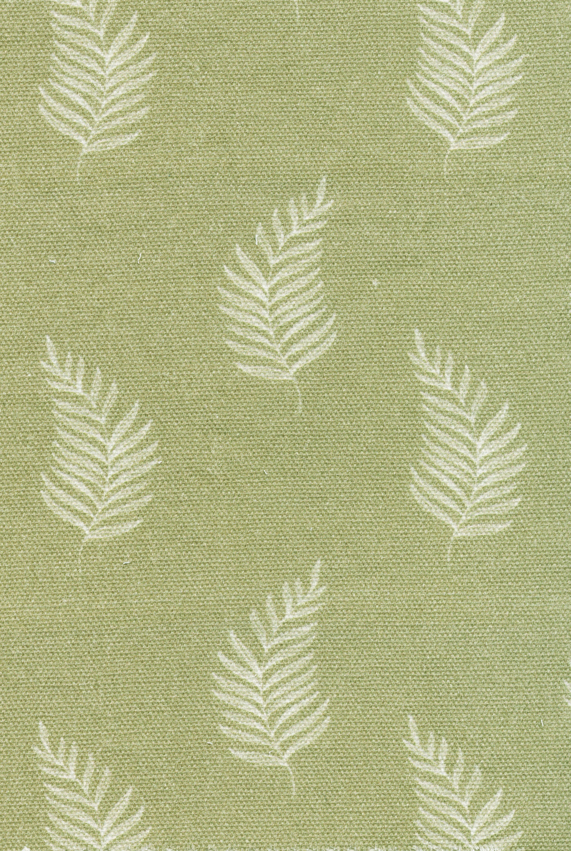 Monstera Fabric