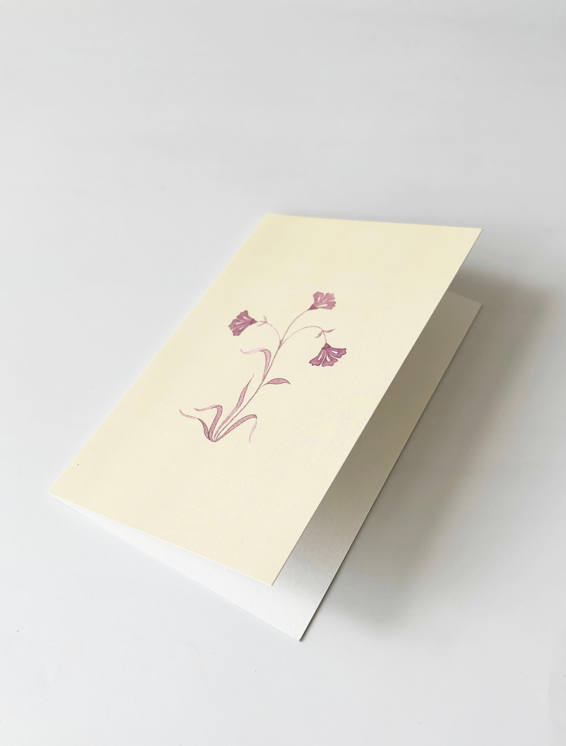 Aster Greeting Cards (Set of 4)
