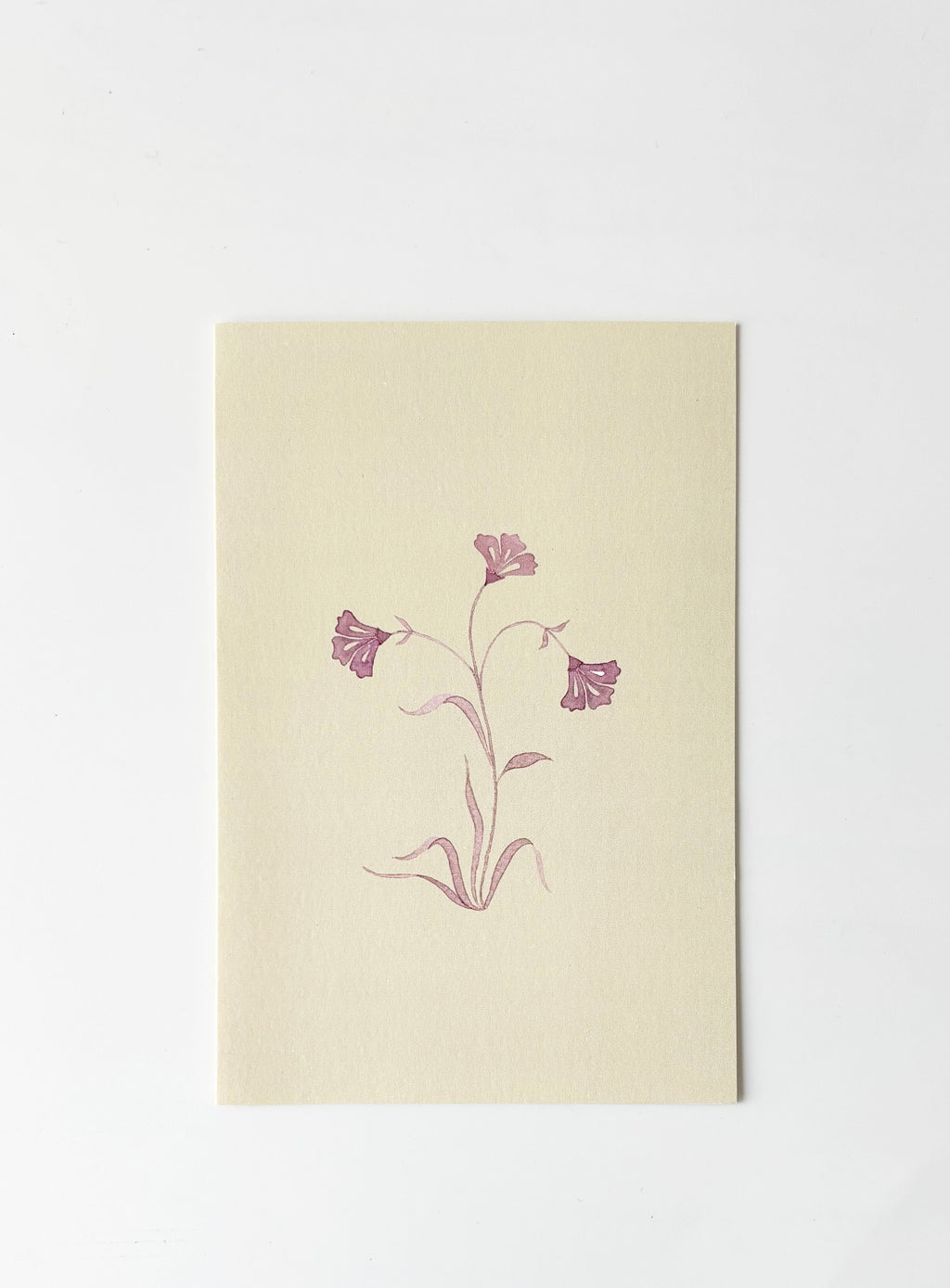 Aster Greeting Cards (Set of 4)