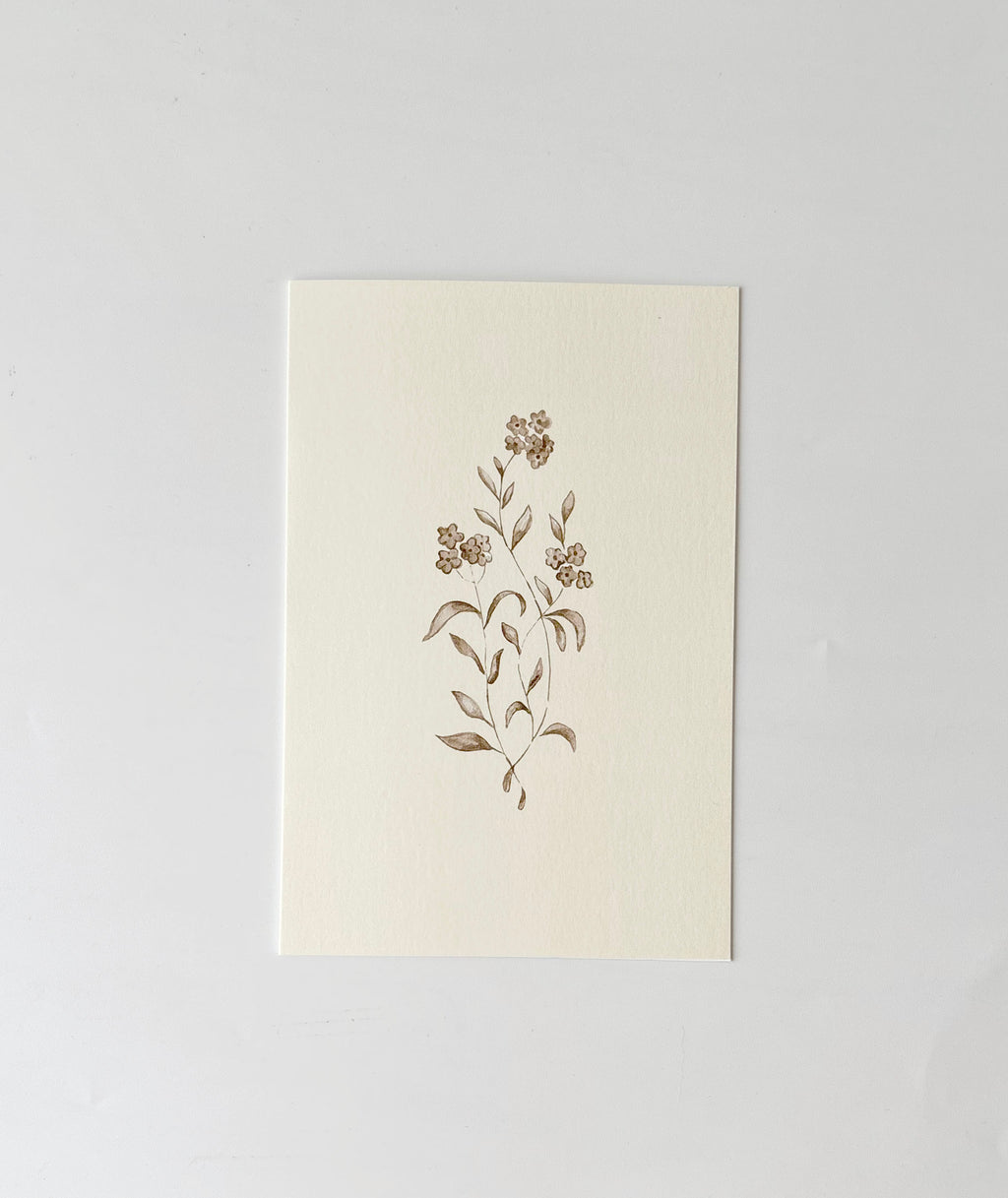 Cicely Greeting Cards (Set of 4)