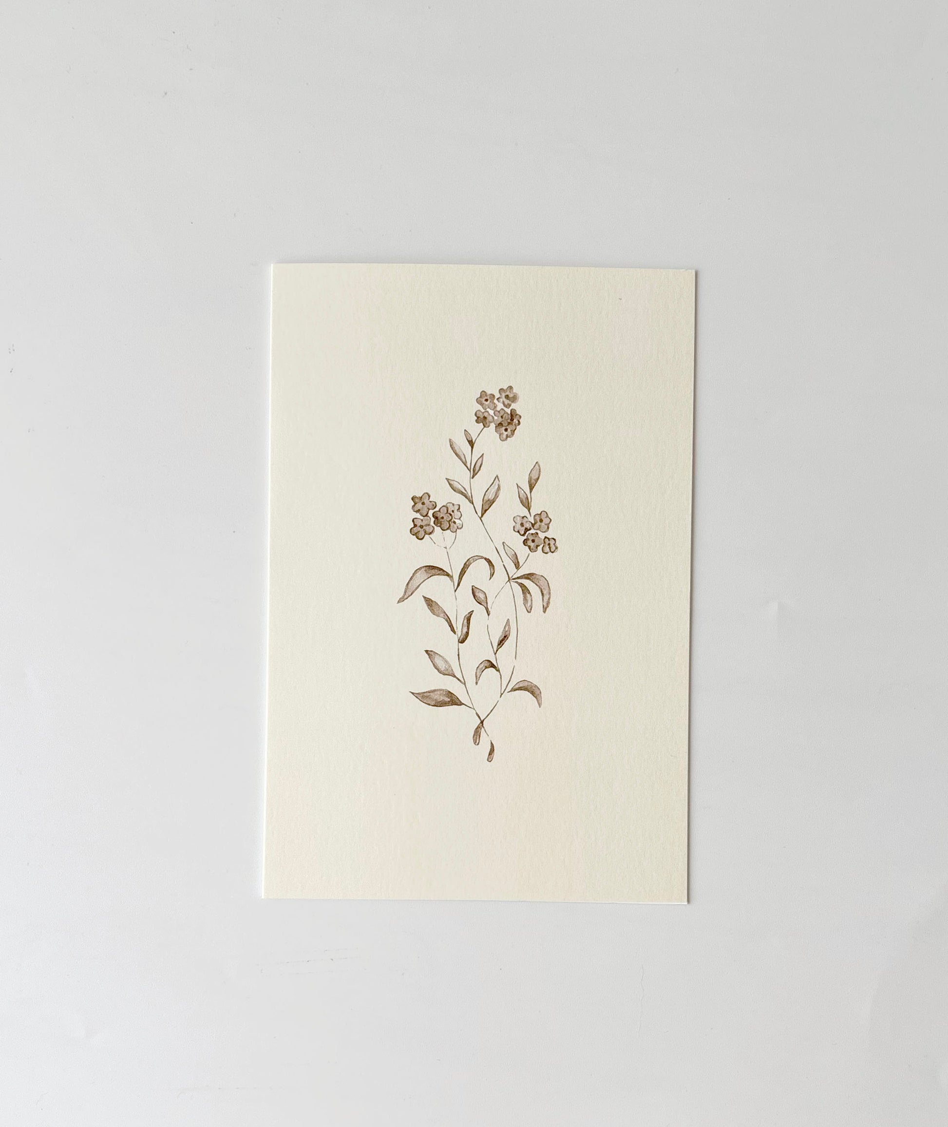 Cicely Greeting Cards (Set of 4)