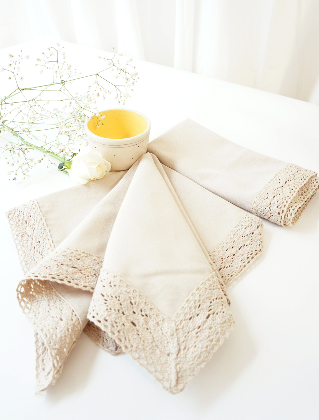 Lace Border Napkins, Beige ( Set of 2 )