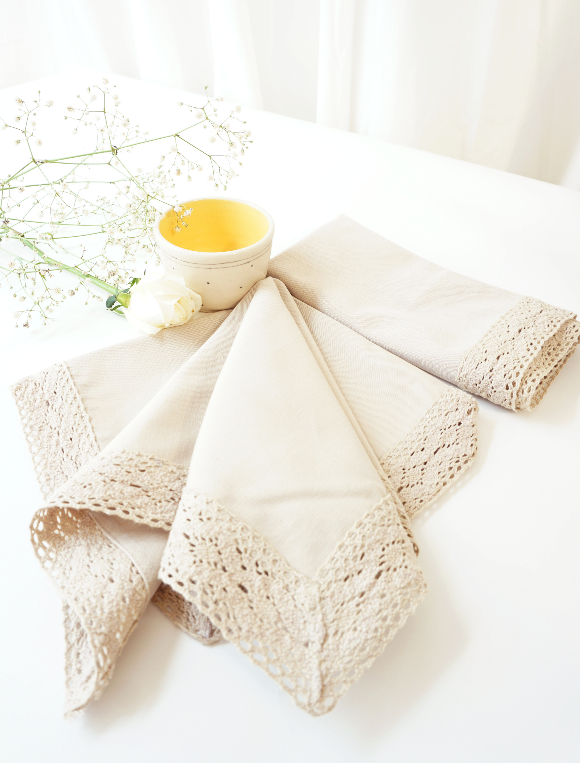 Lace Border Napkins, Beige ( Set of 2 )
