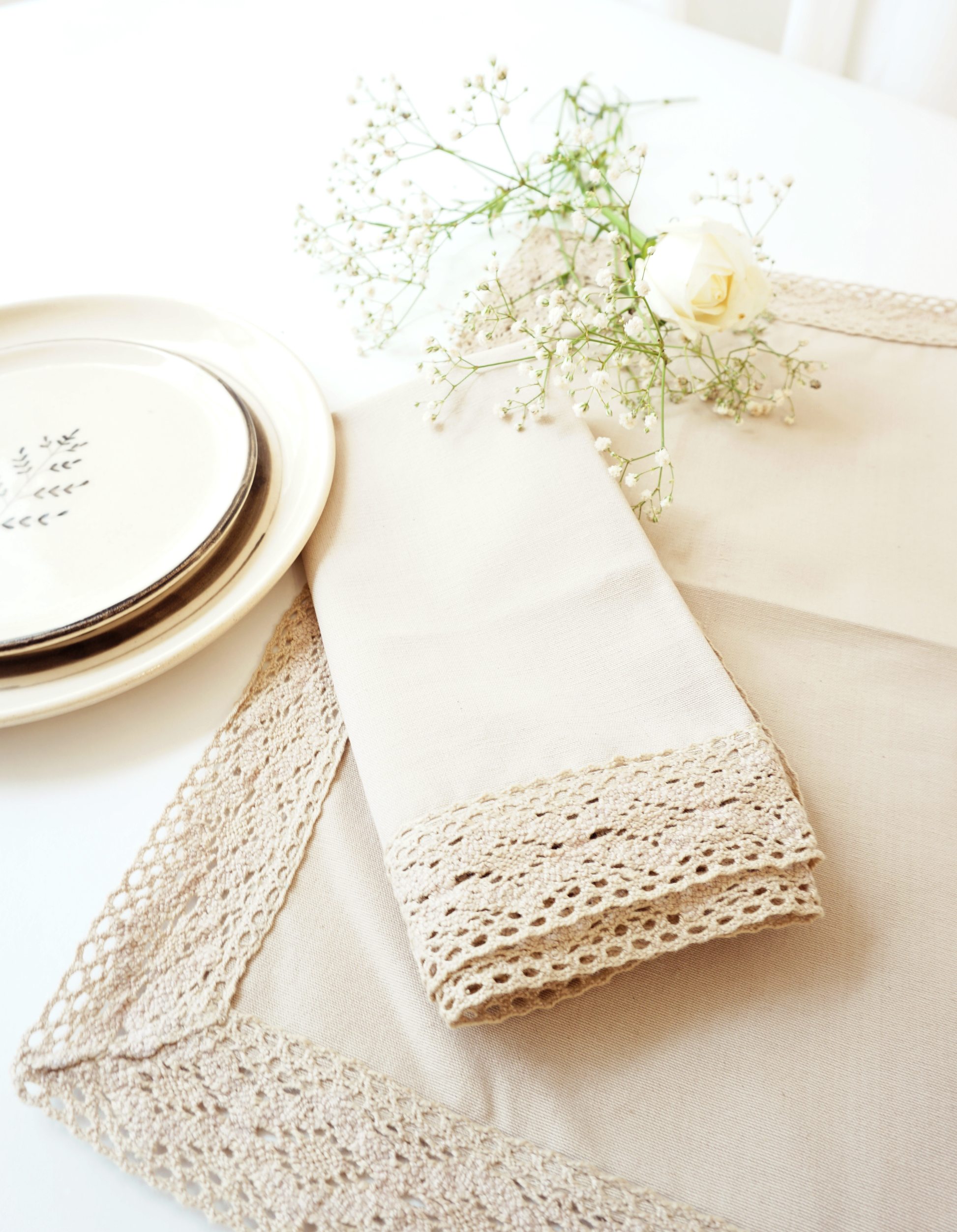 Lace Border Napkins, Beige ( Set of 2 )