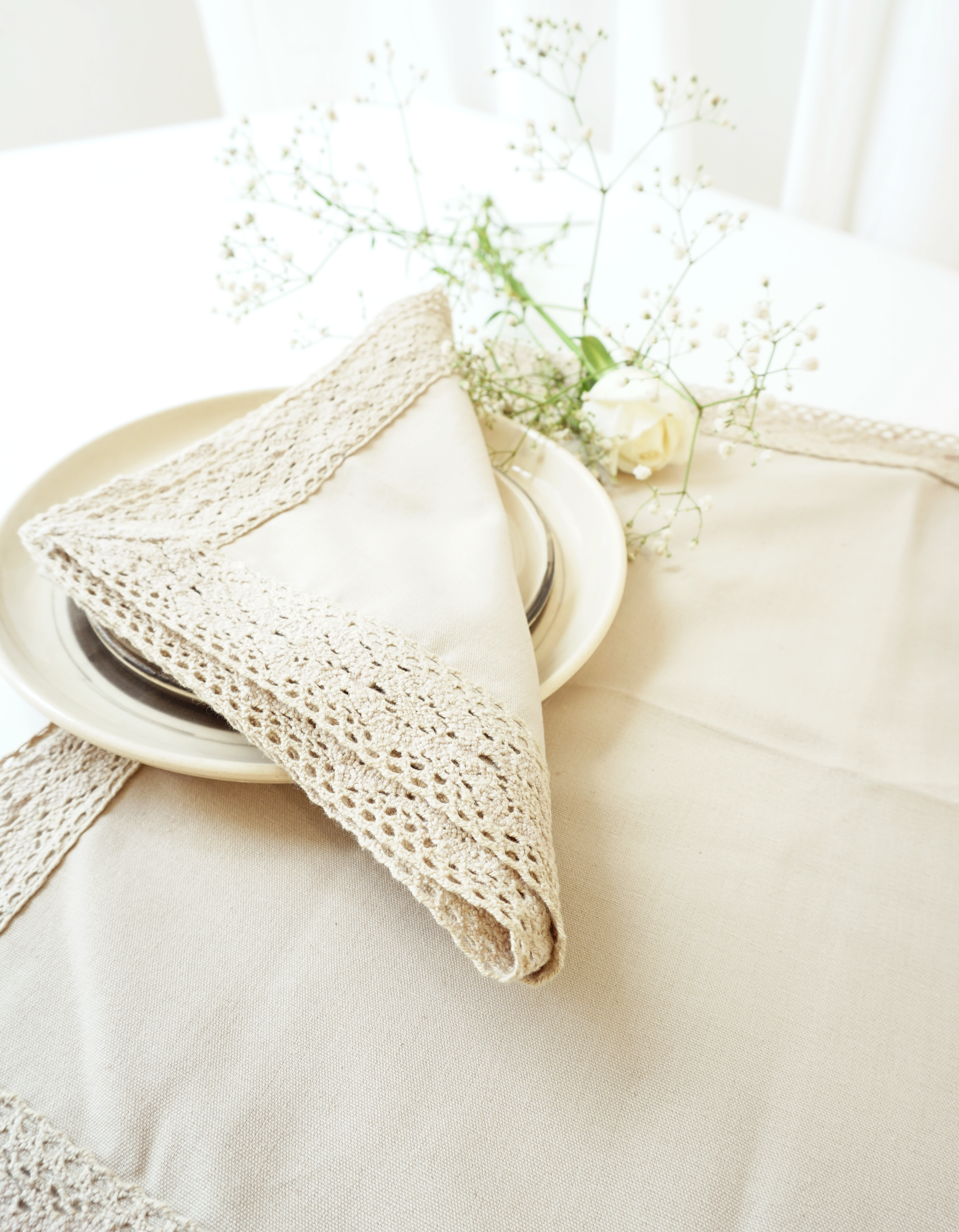 Lace Border Napkins, Beige ( Set of 2 )