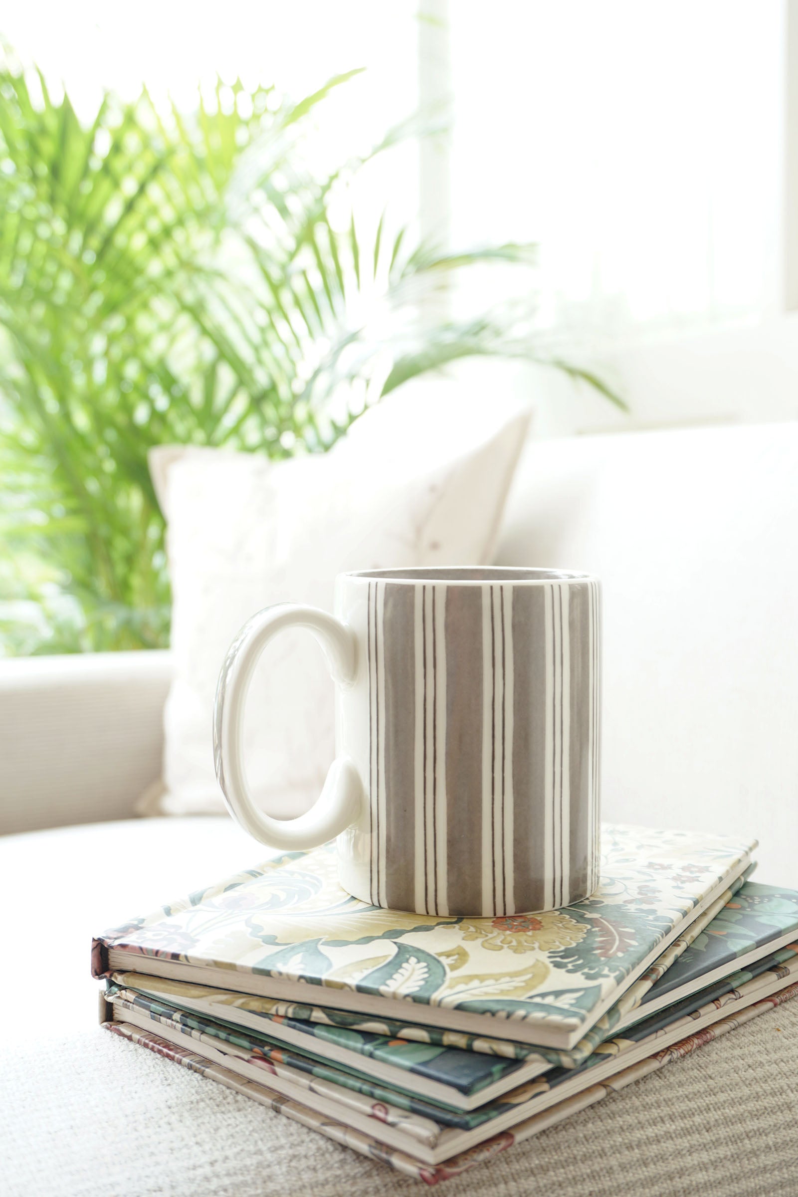 Nadi Mug