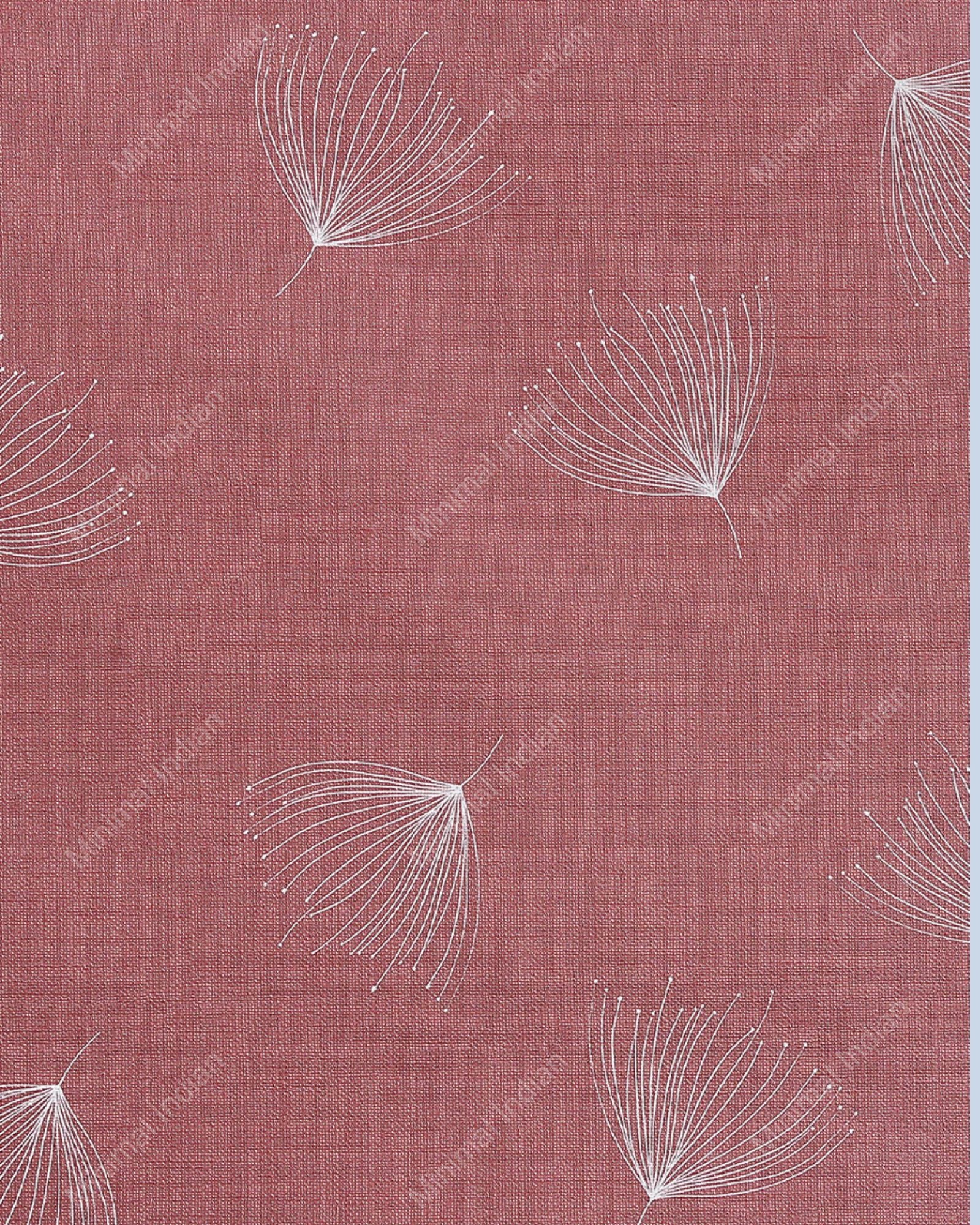 Brishti Wallpaper
