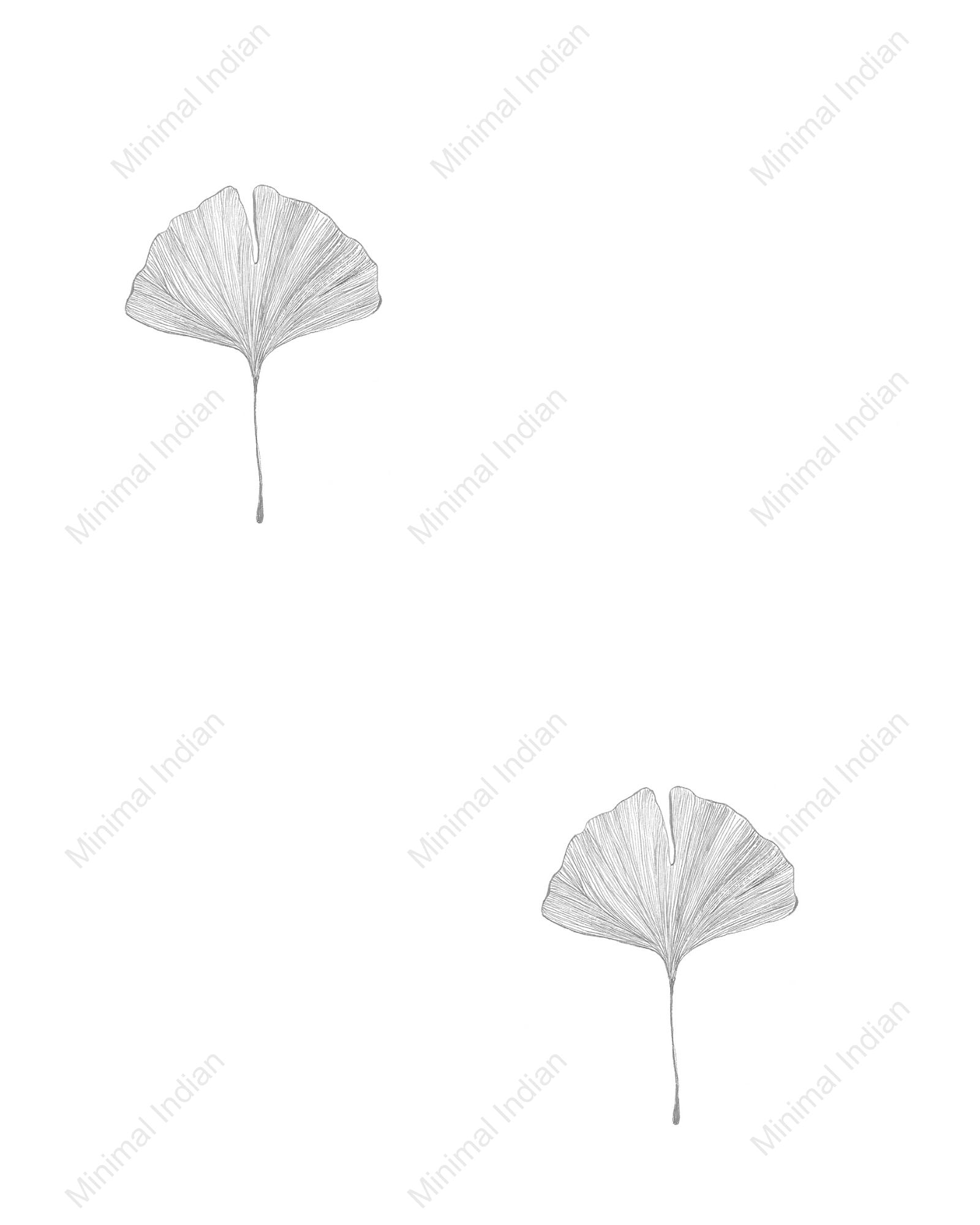 Gingko Wallpaper