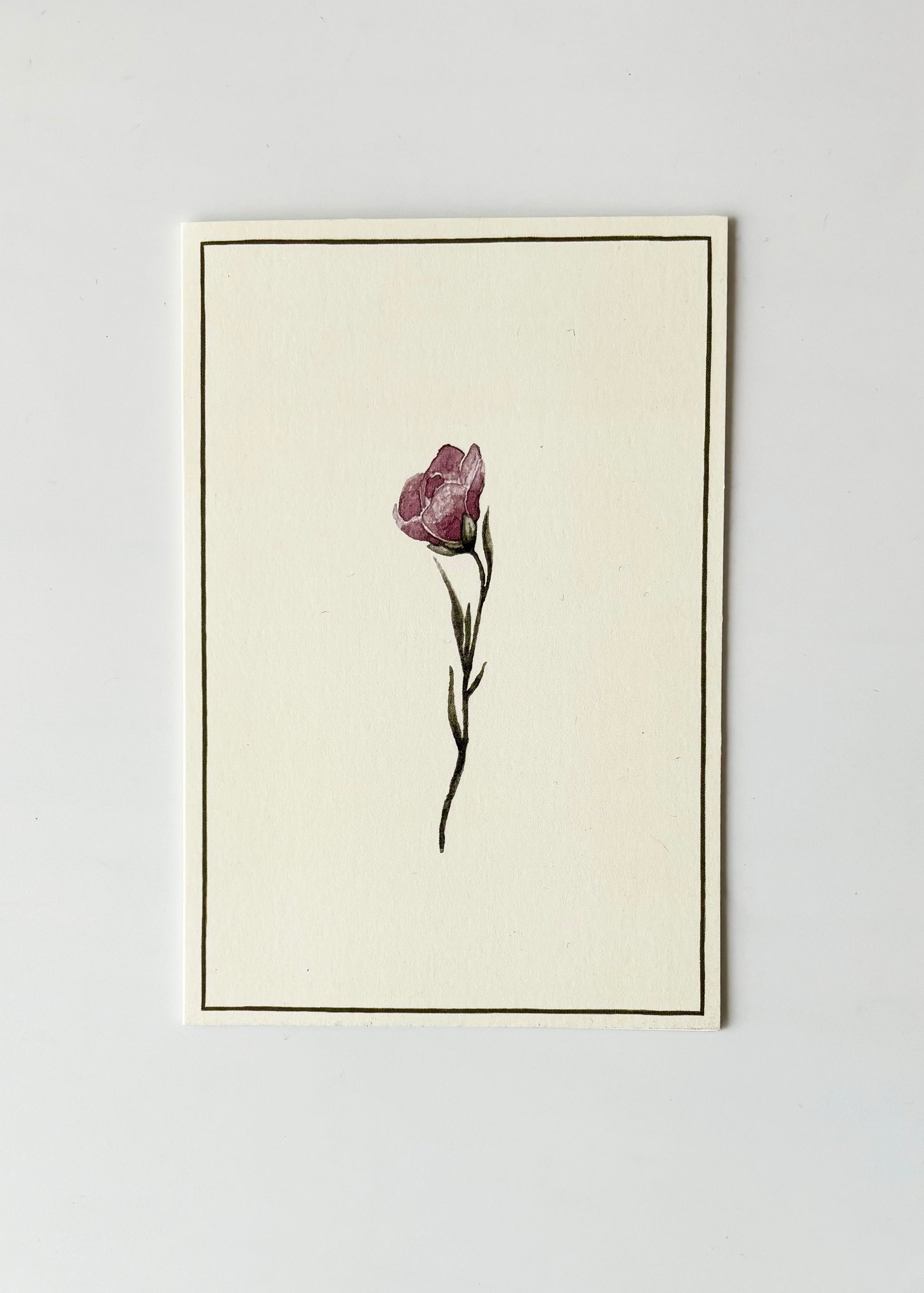 Purple Rose Greeting Cards (Set of 4)