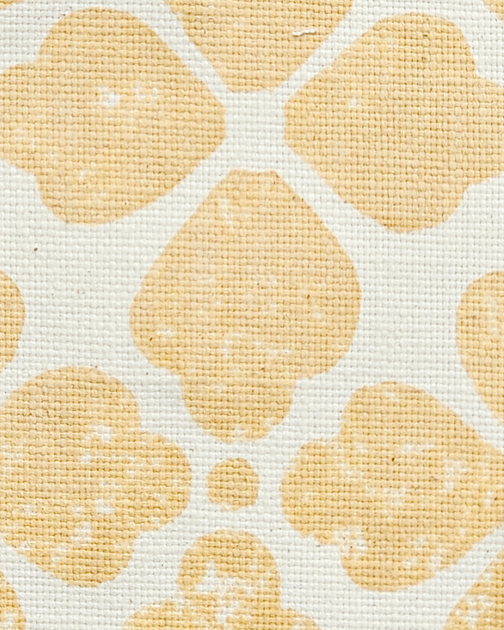 Celeste, New Wheat