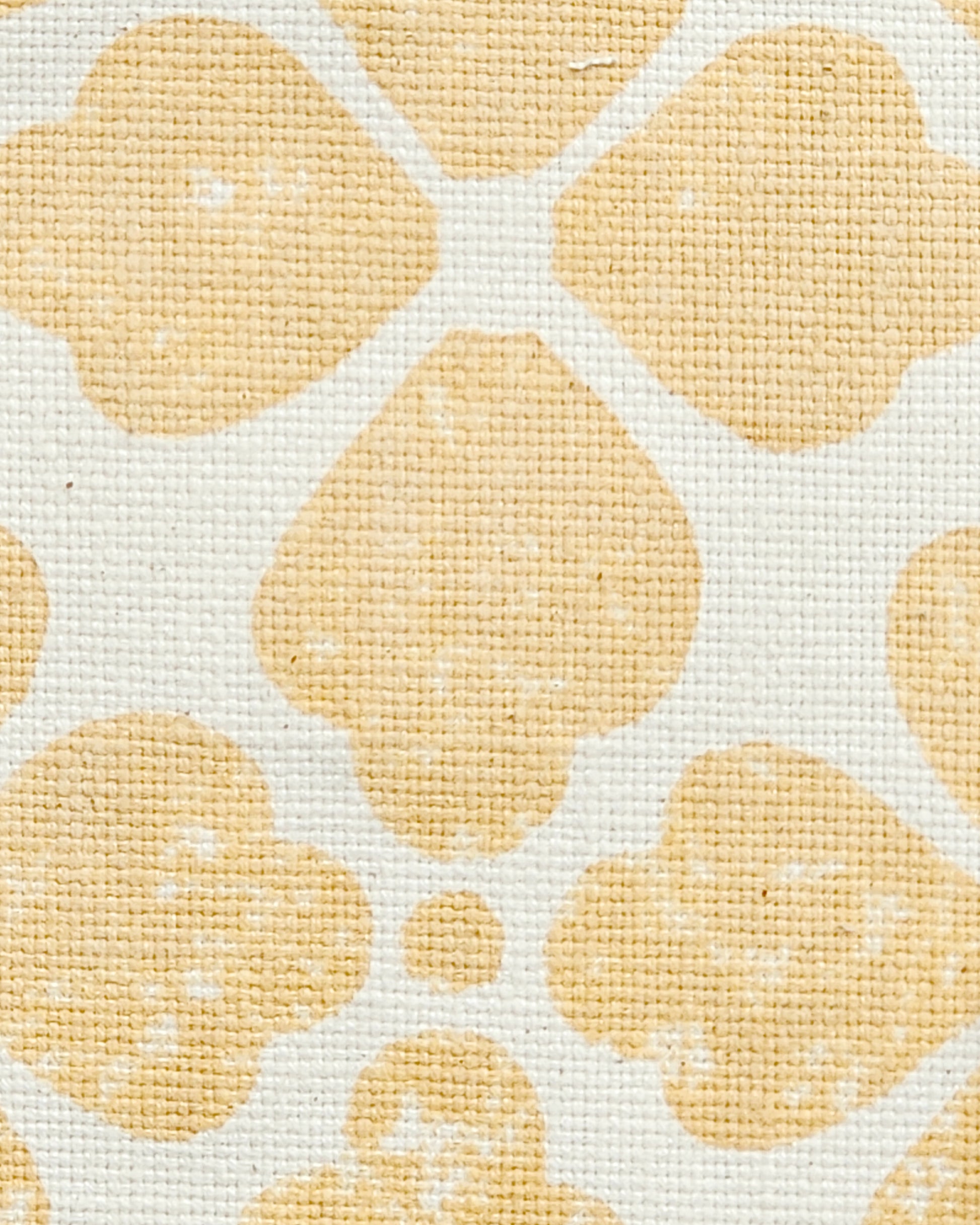 Celeste, New Wheat