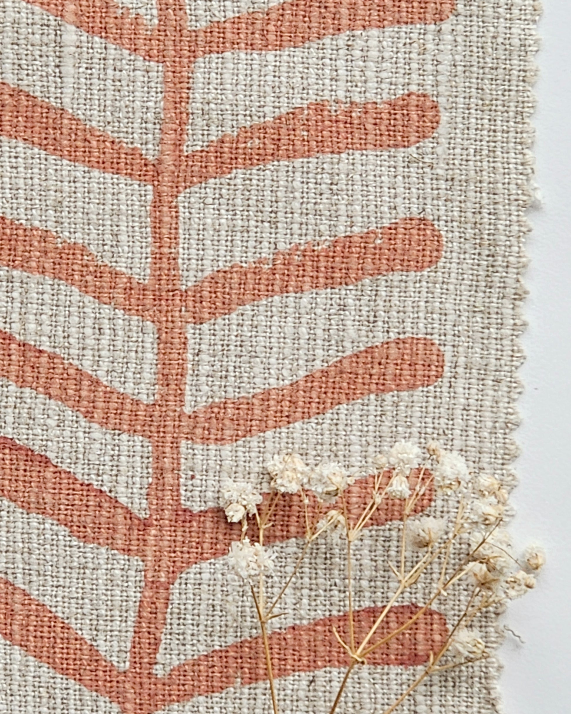 Ivy, Terracotta