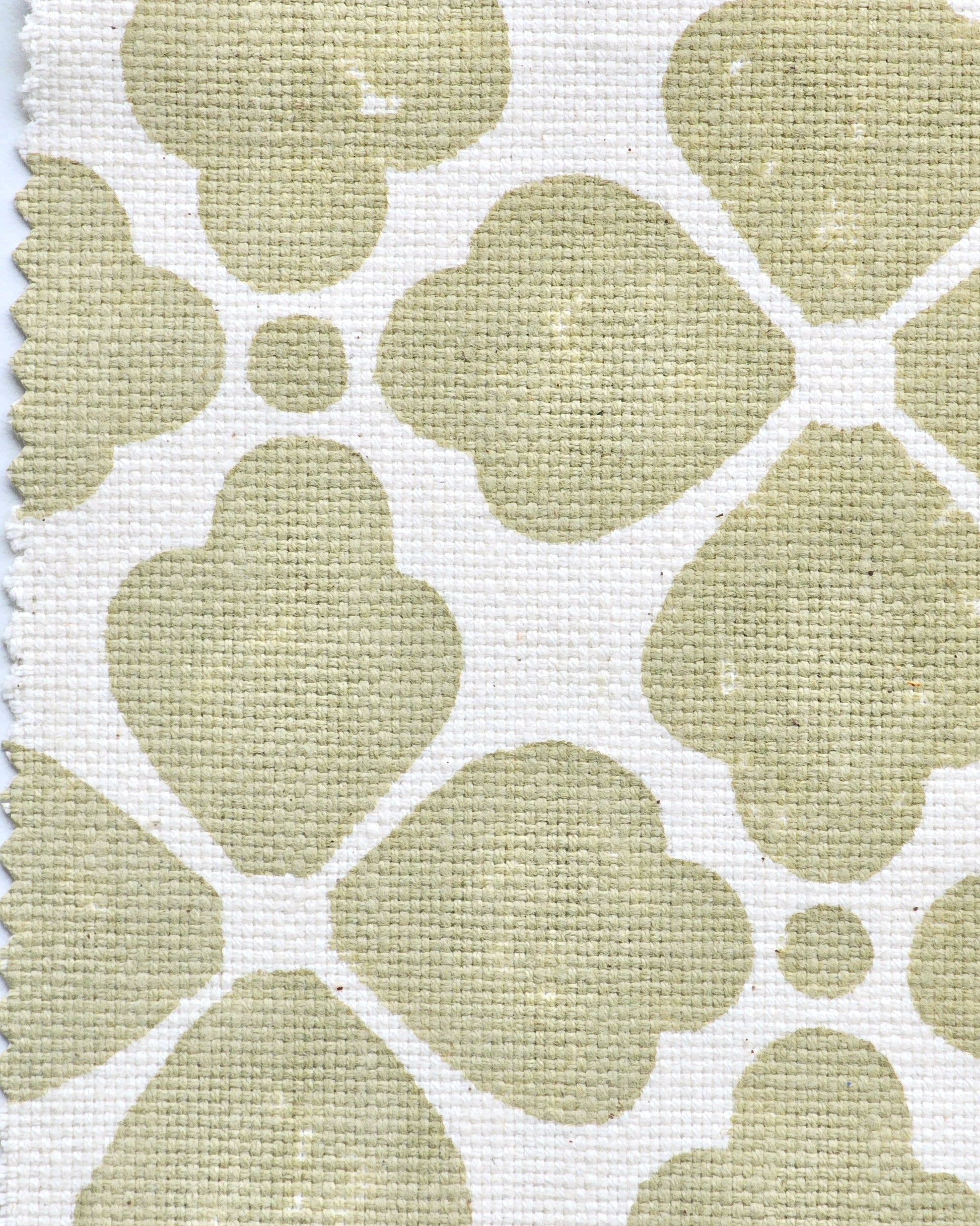Celeste, Sage Green