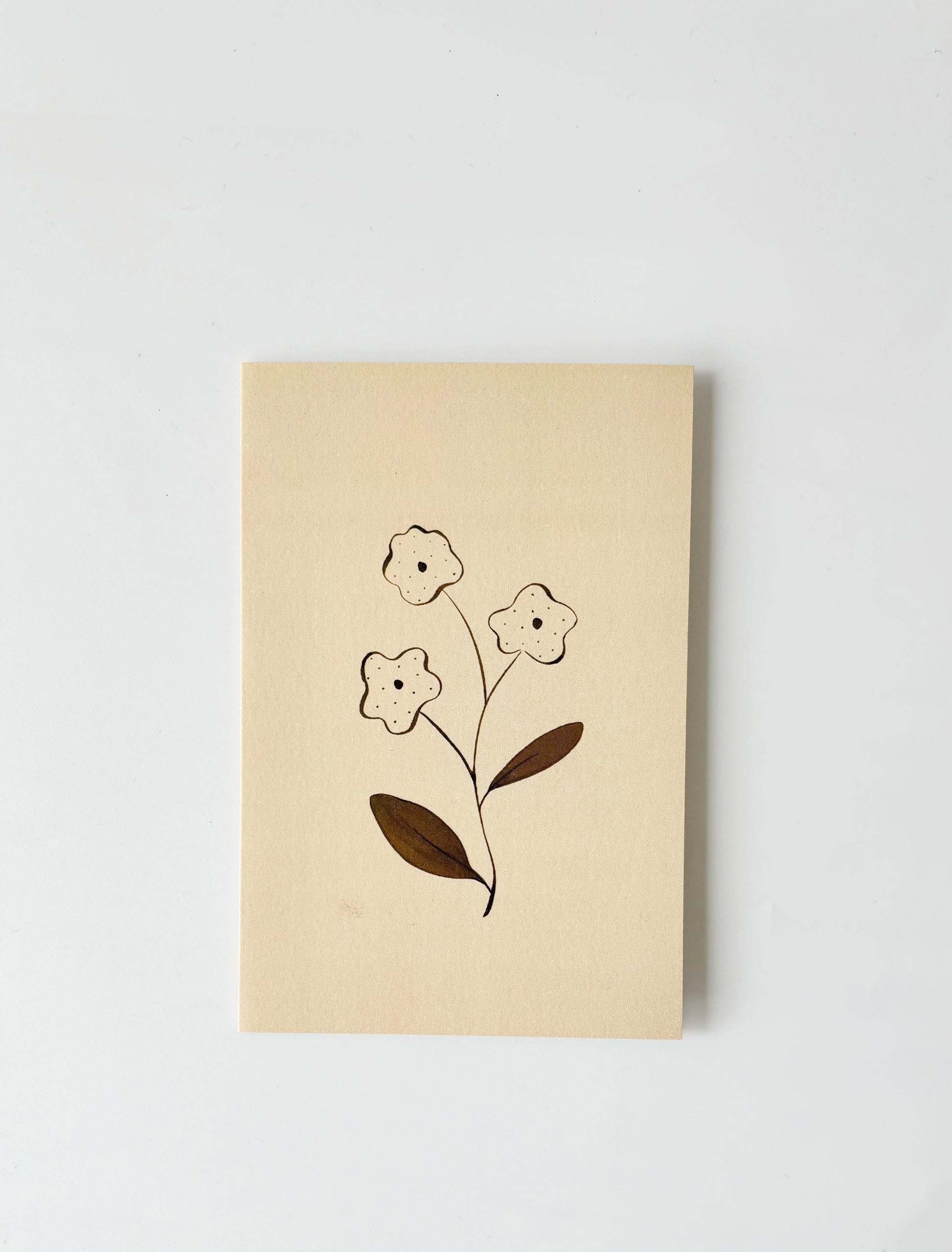Cornflower Greeting Cards (Set of 4)
