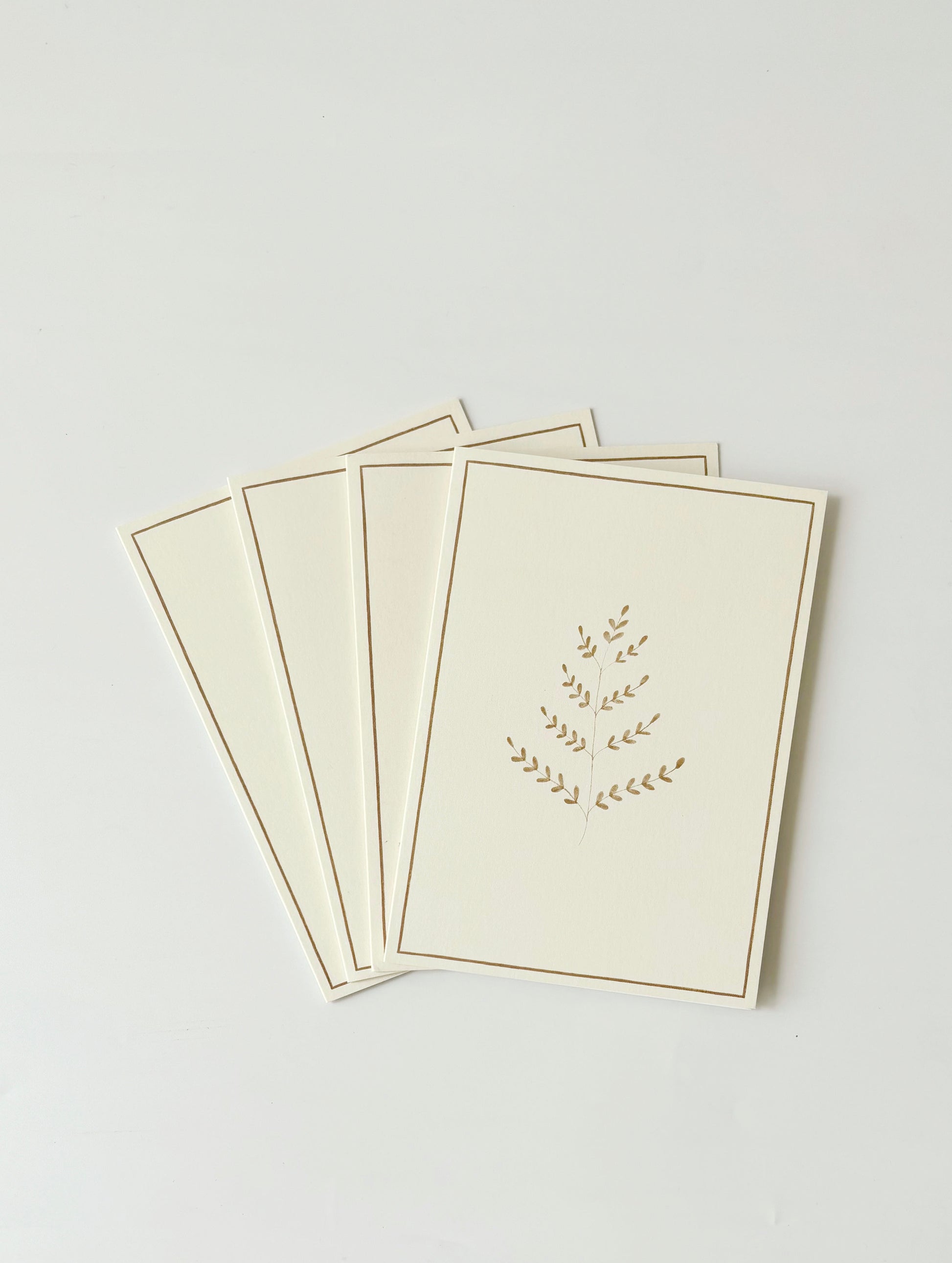 Ferns Greeting Cards (Set of 4)