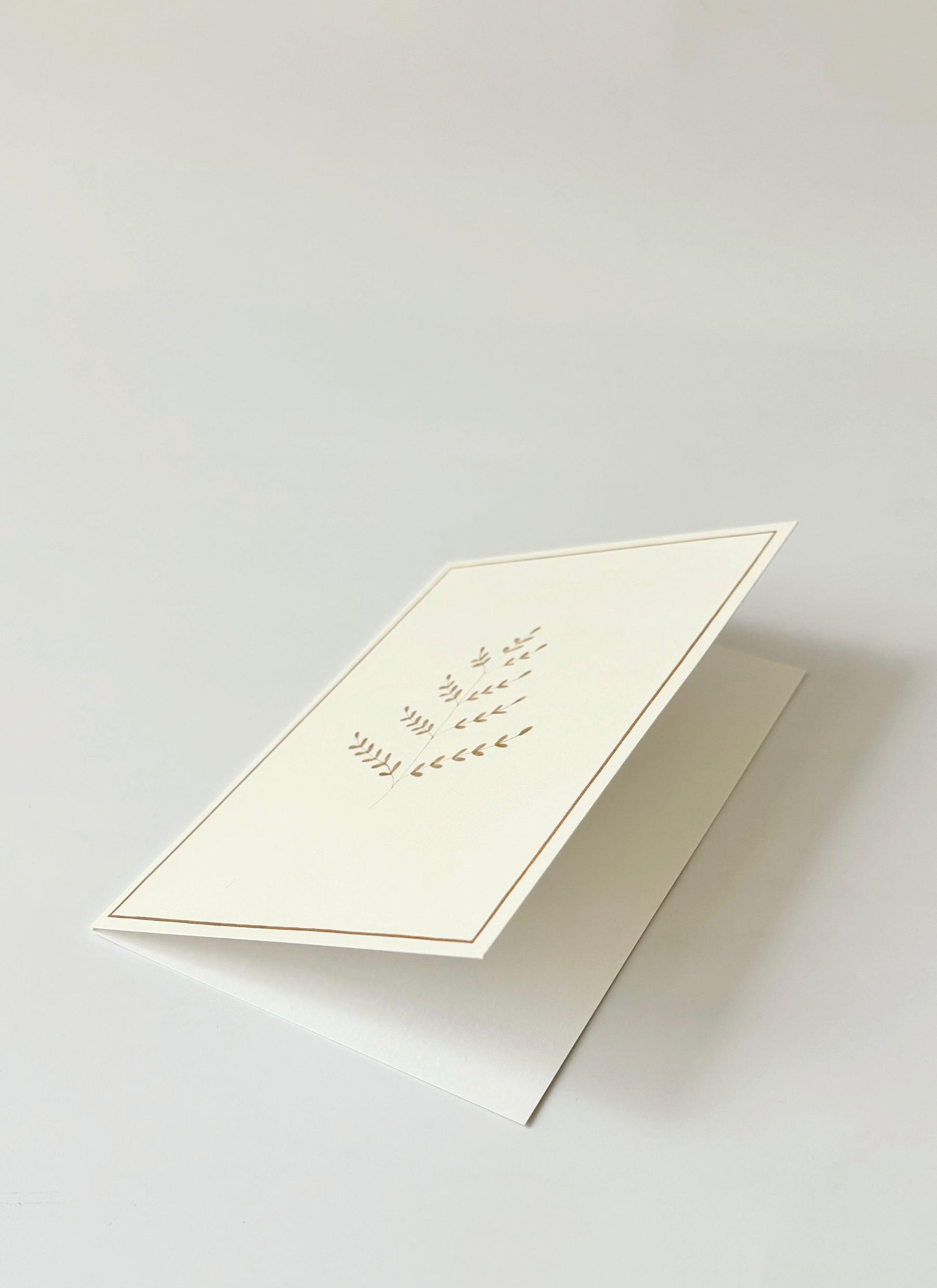 Ferns Greeting Cards (Set of 4)