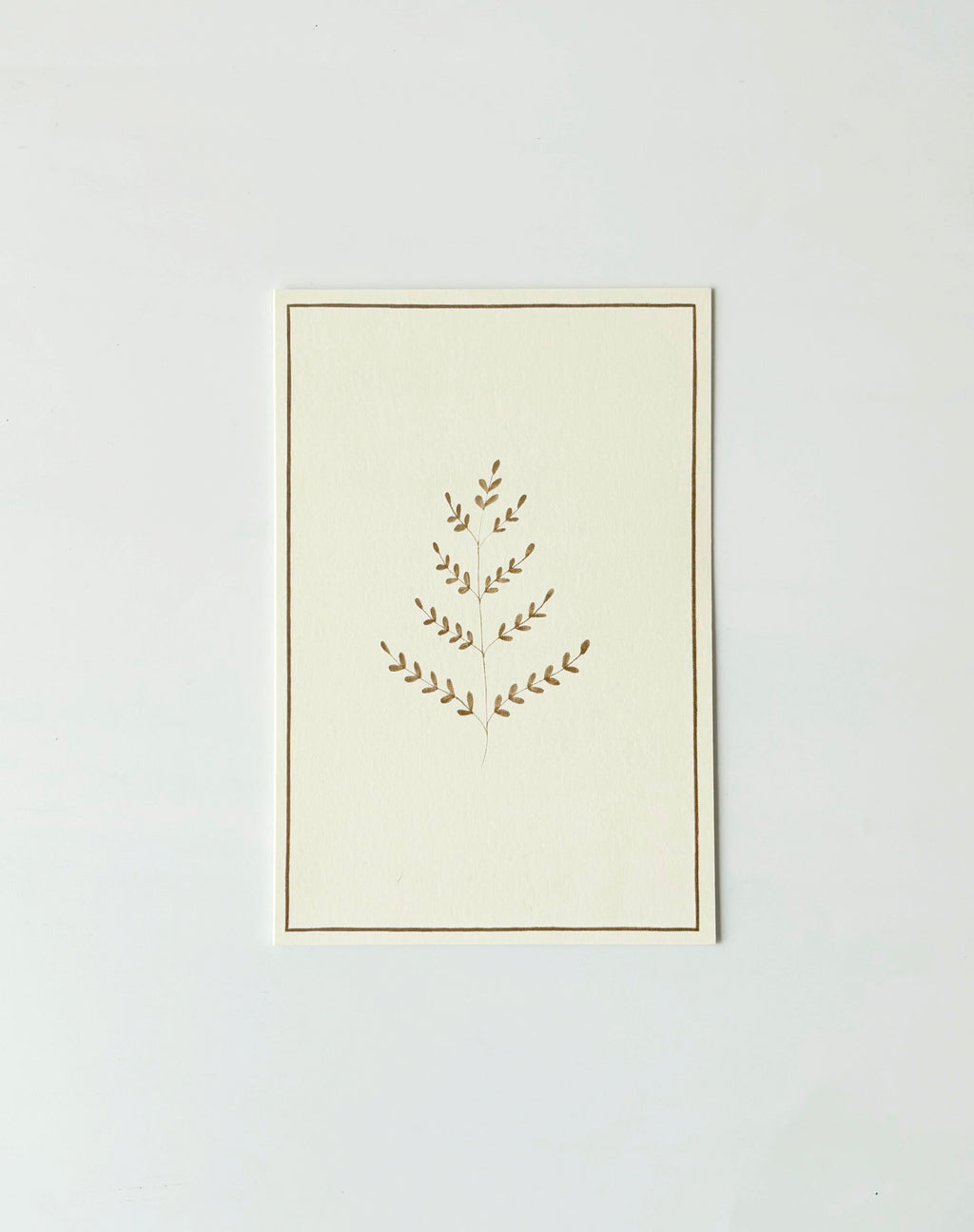 Ferns Greeting Cards (Set of 4)