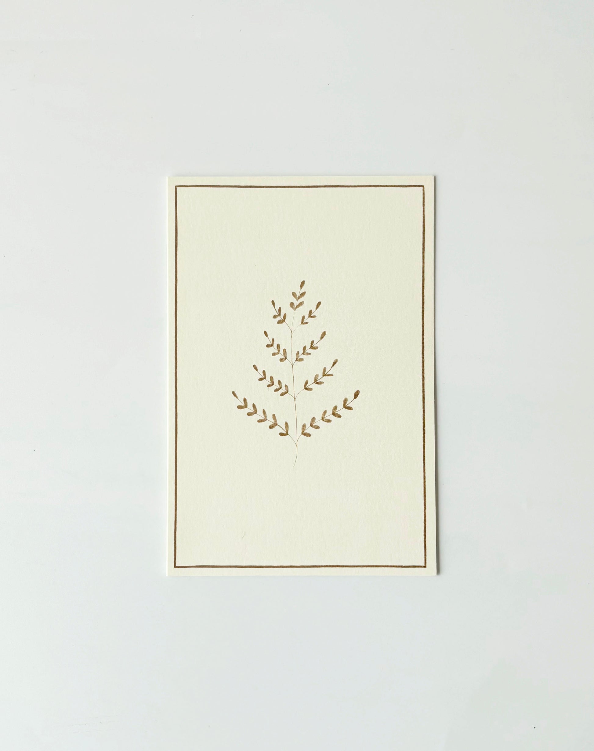 Ferns Greeting Cards (Set of 4)