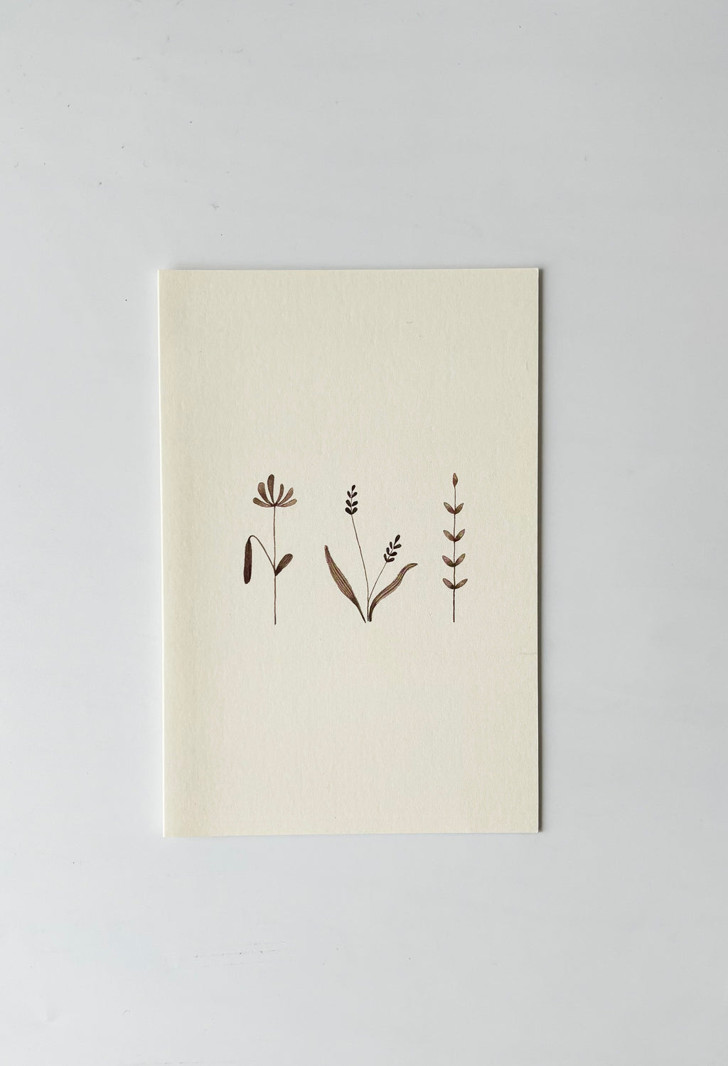 Meadow Greeting Cards (Set of 4)