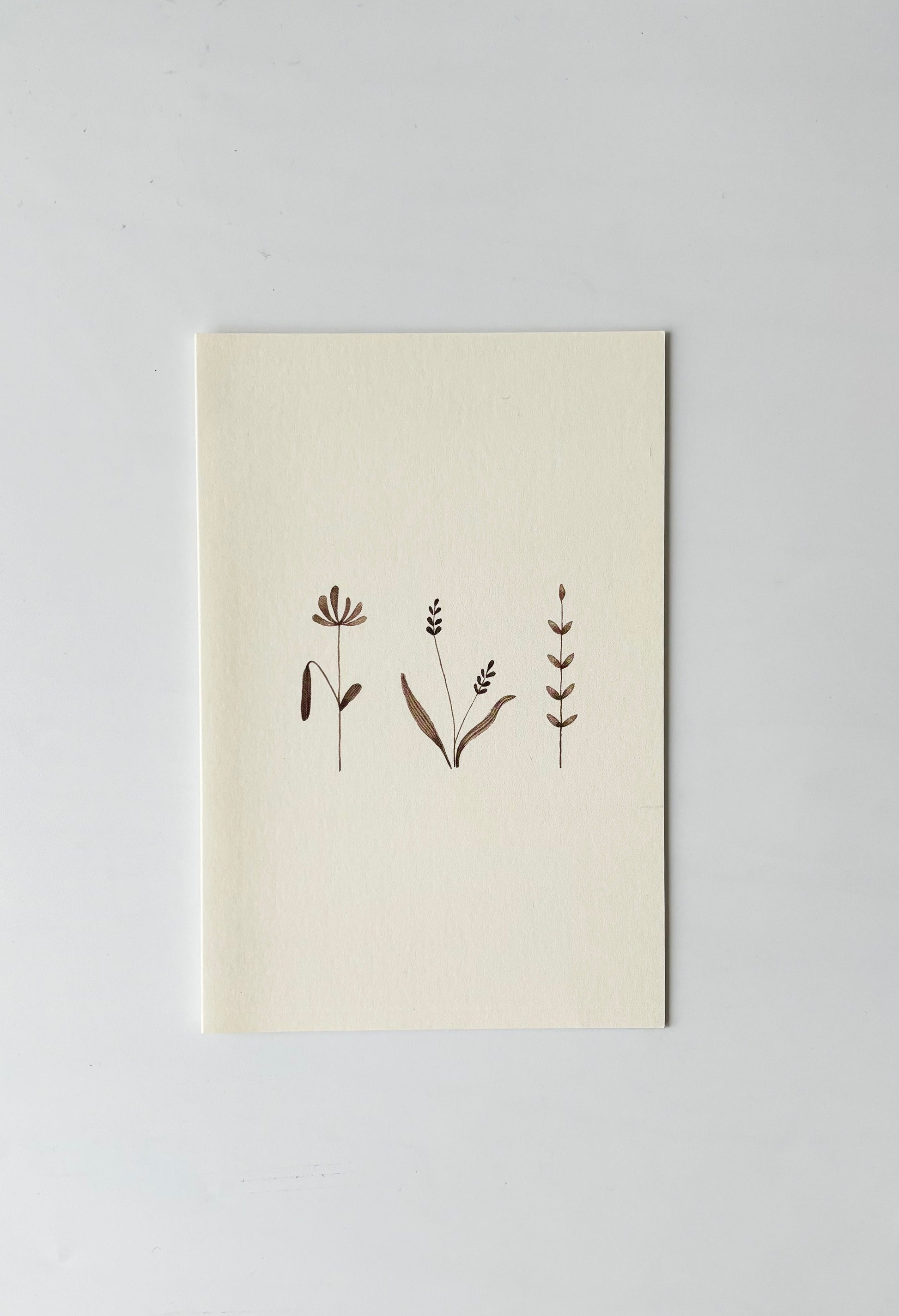 Meadow Greeting Cards (Set of 4)