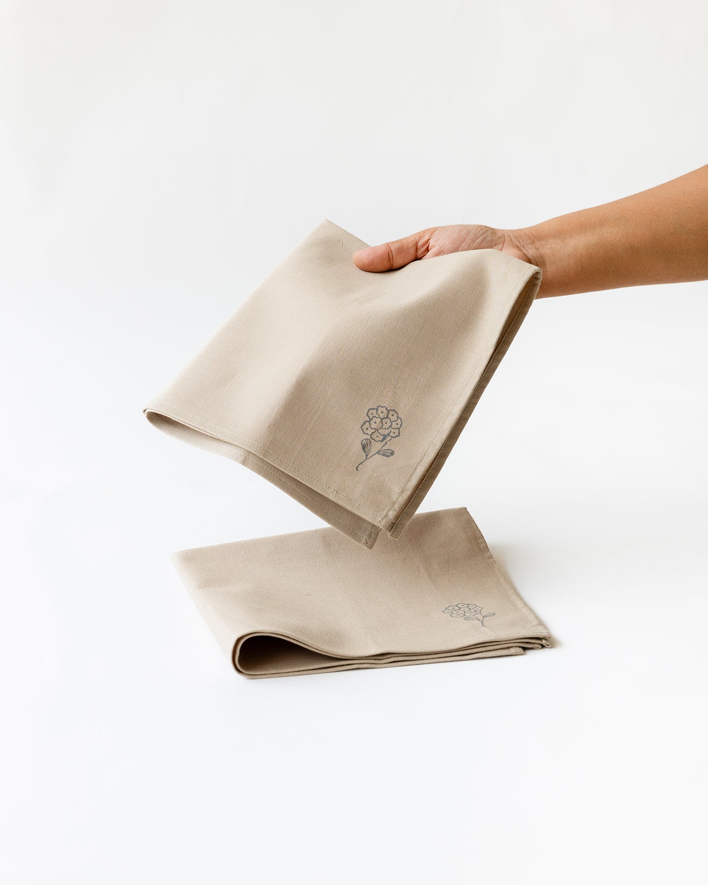 Tagar Napkins, Beige (Set of 2)