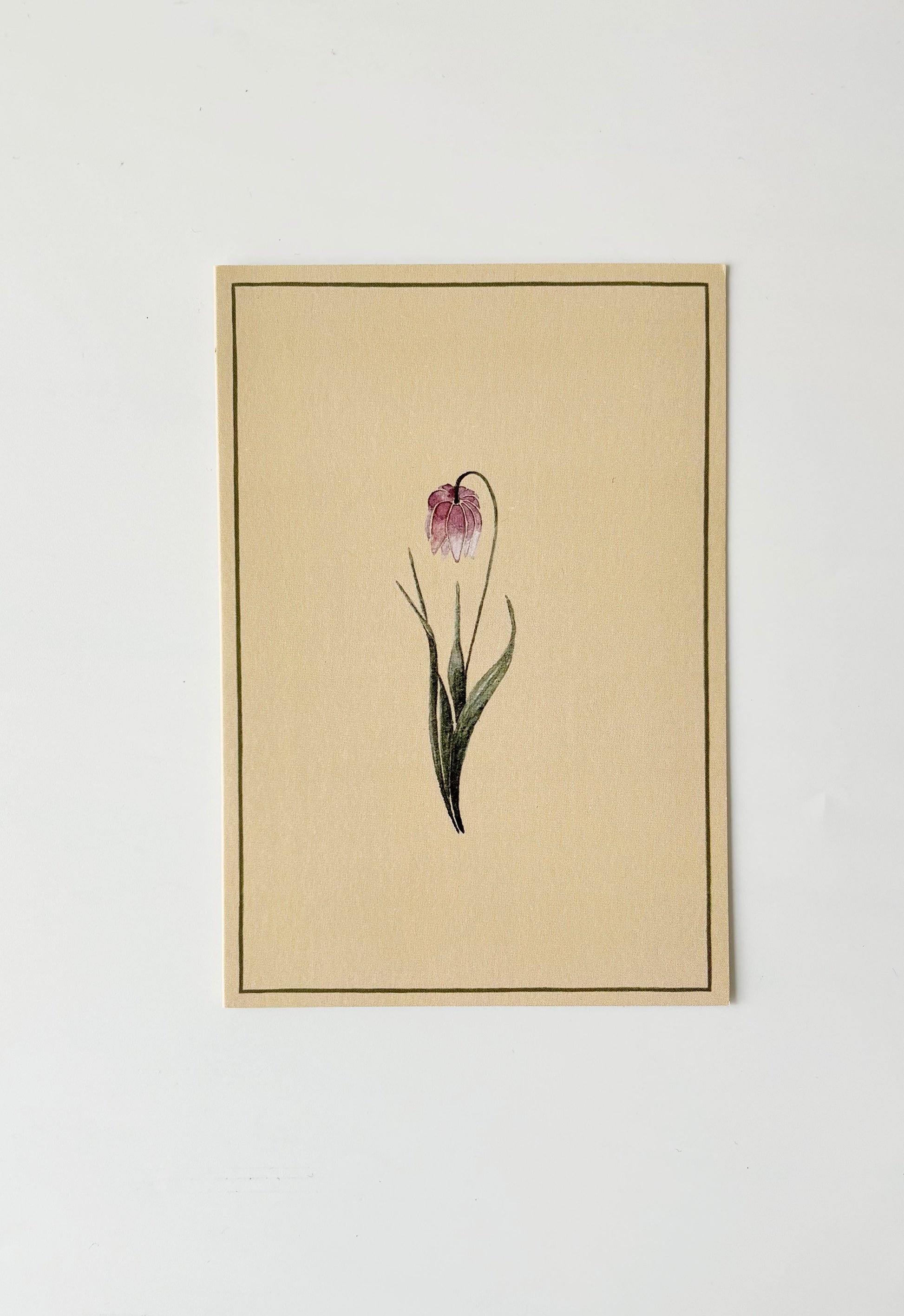 Tulip Greeting Cards (Set of 4)