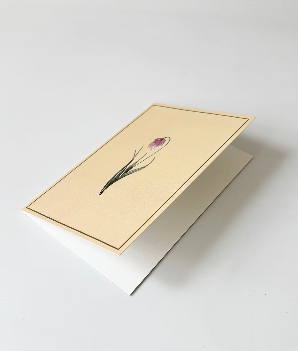 Tulip Greeting Cards (Set of 4)