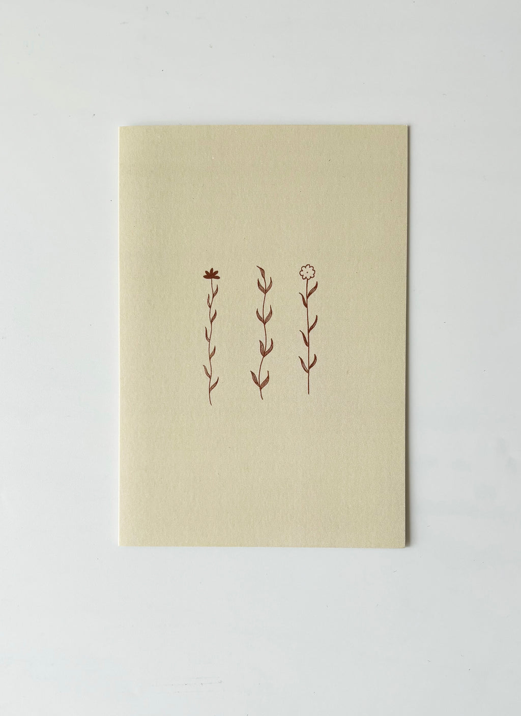 Wildflower Greeting Cards (Set of 4)