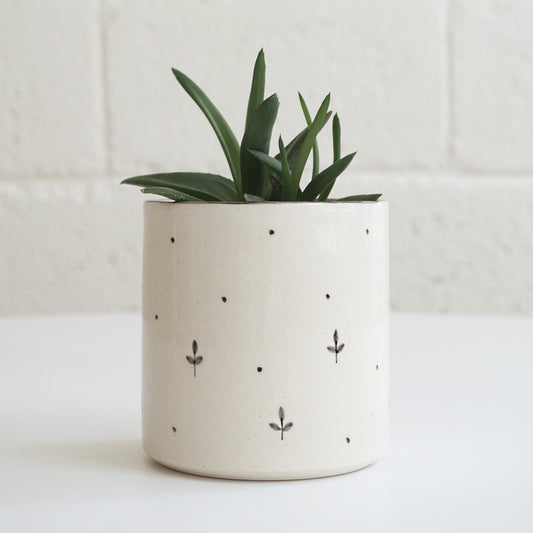 Mogra Planter