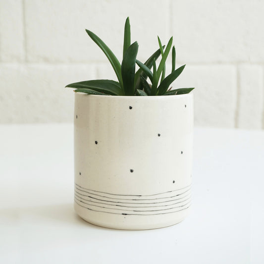 Polka & Stripe Planter